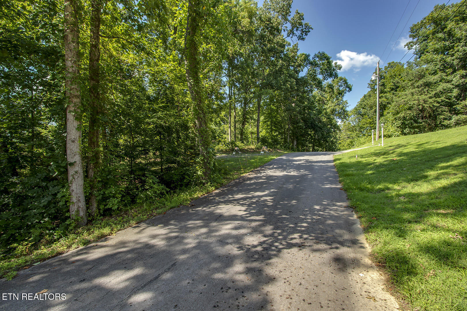 564 Bonne Vista Drive White Pine TN 37890