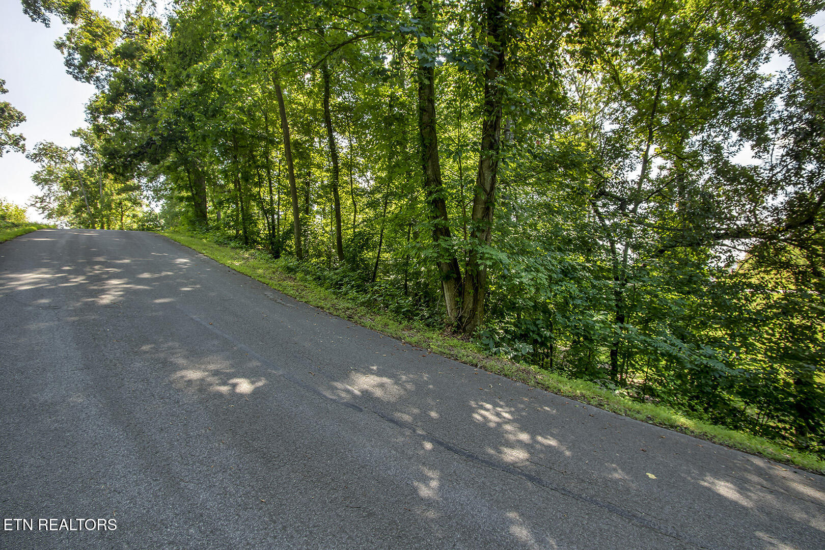 564 Bonne Vista Drive White Pine TN 37890