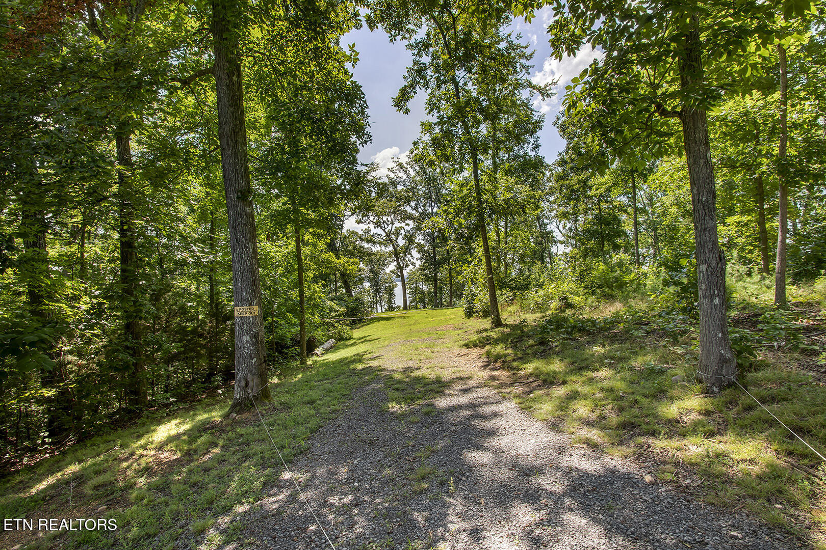 564 Bonne Vista Drive White Pine TN 37890