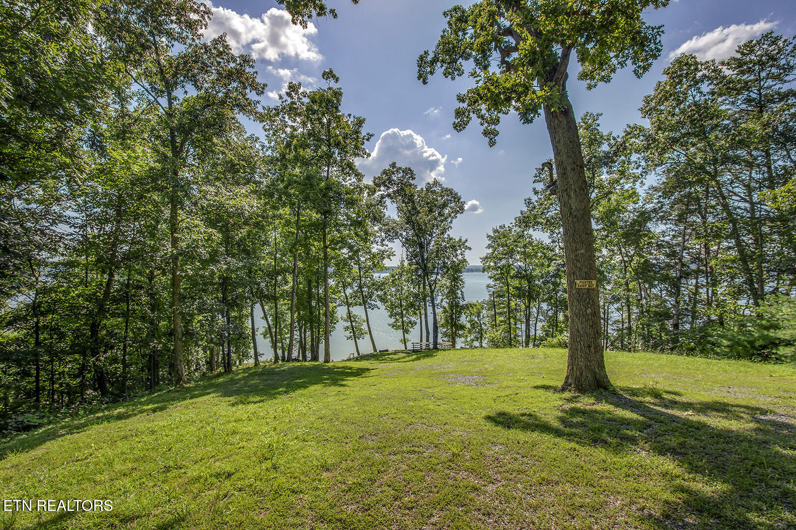 564 Bonne Vista Drive White Pine TN 37890