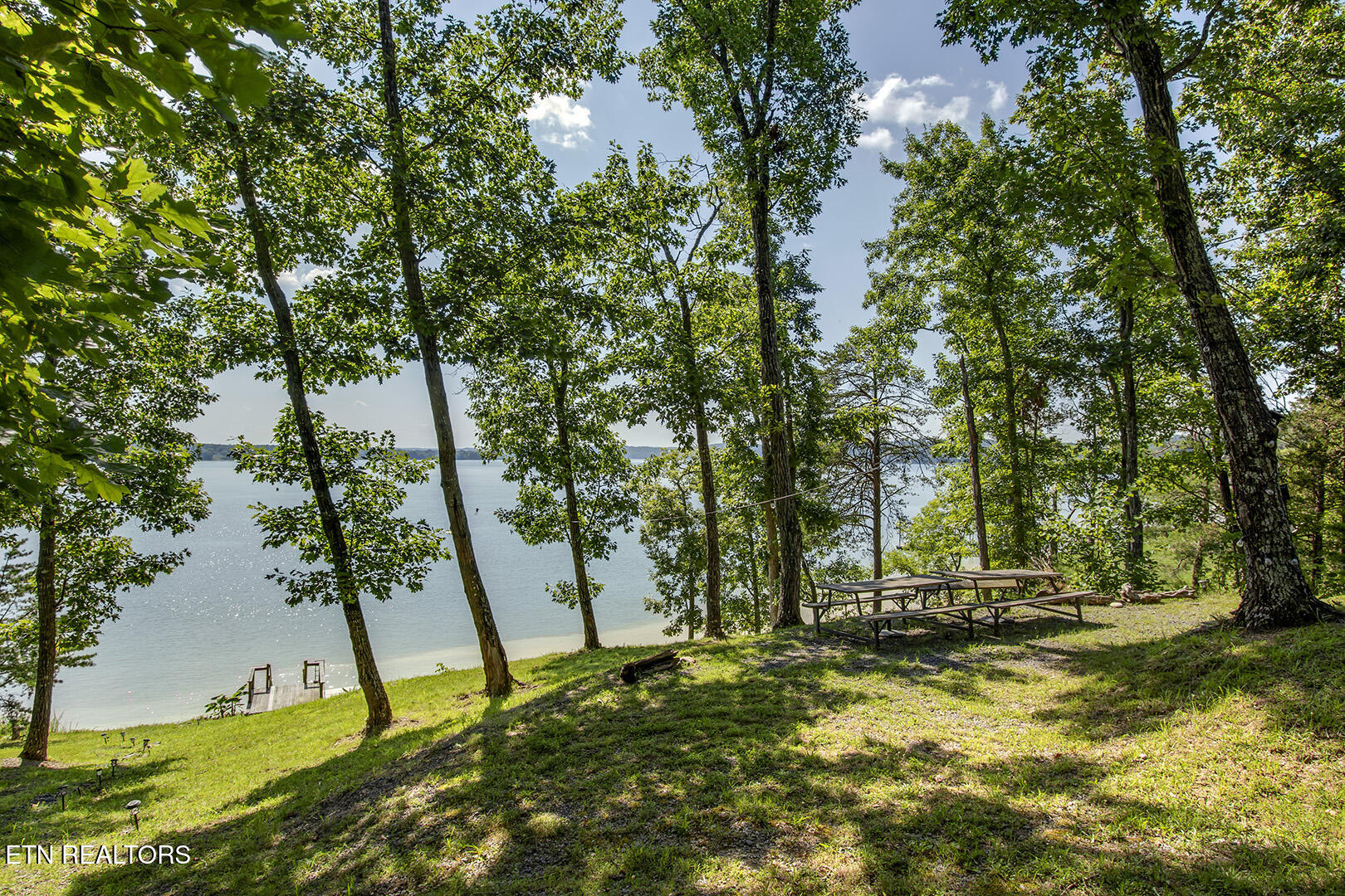 564 Bonne Vista Drive White Pine TN 37890