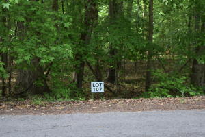 Lot 107 Treasure Tree Road Ten Mile TN 37880