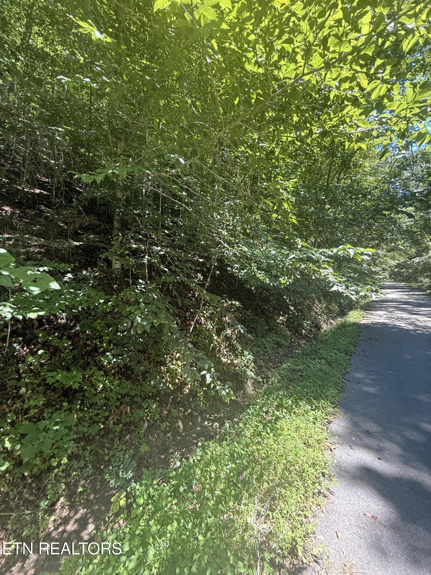 0 Suttons Road Sevierville TN 37876