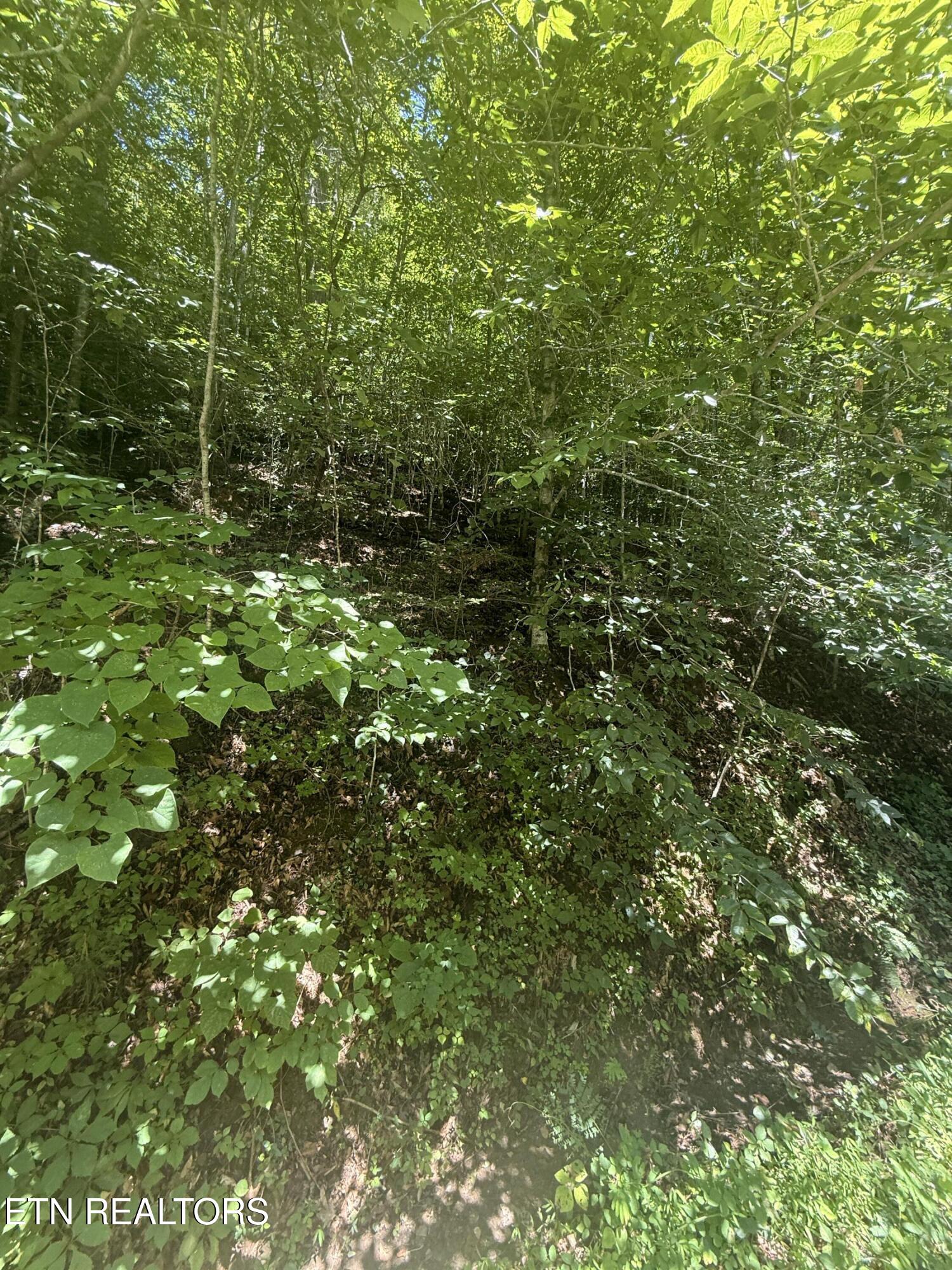 0 Suttons Road Sevierville TN 37876
