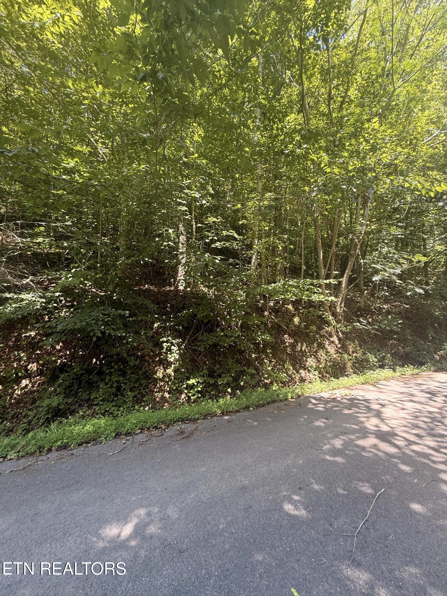 0 Suttons Road Sevierville TN 37876