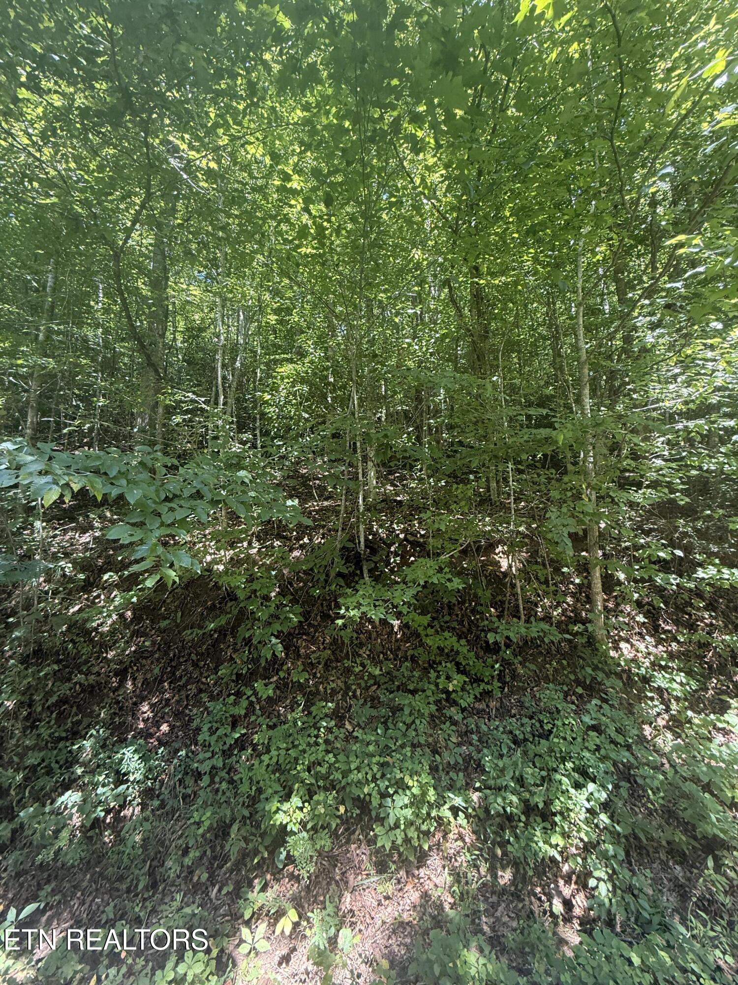 0 Suttons Road Sevierville TN 37876