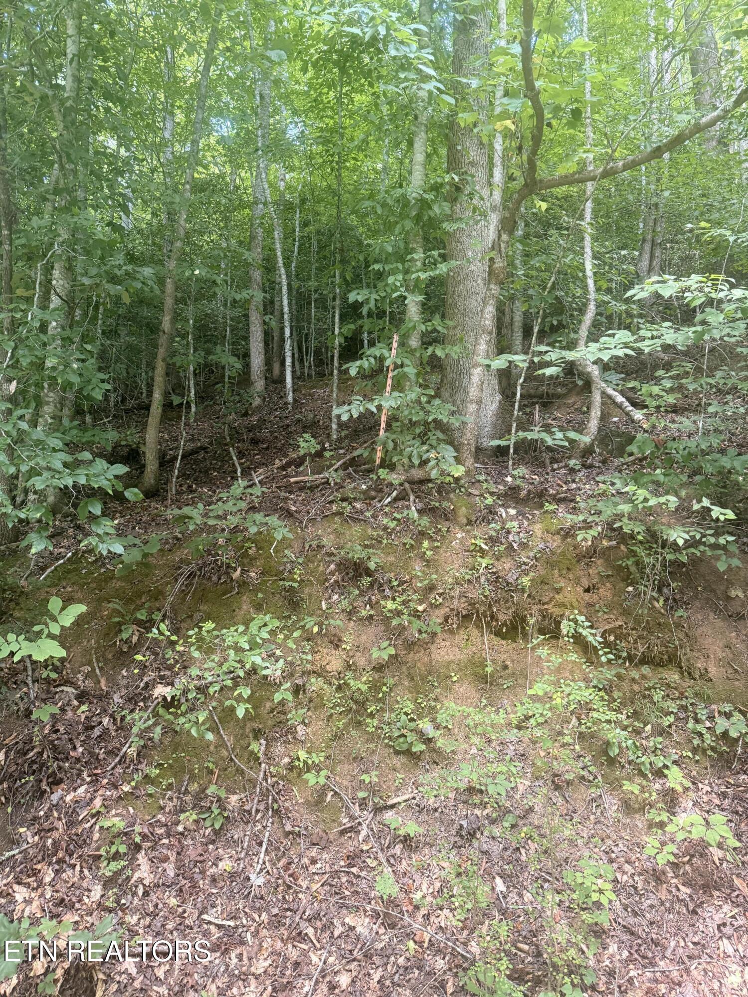 0 Suttons Road Sevierville TN 37876