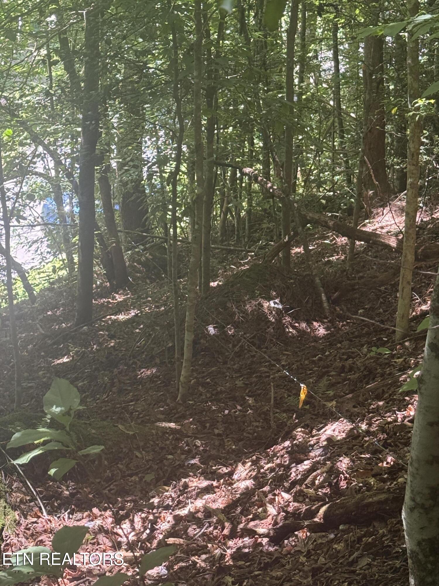 0 Suttons Road Sevierville TN 37876