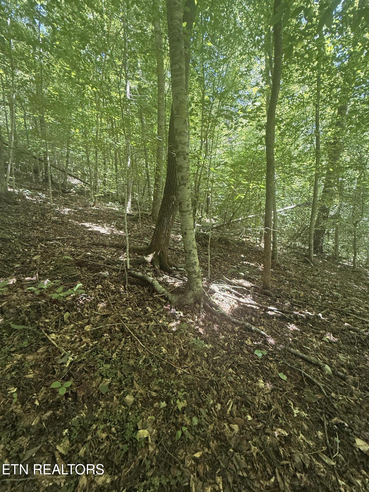 0 Suttons Road Sevierville TN 37876