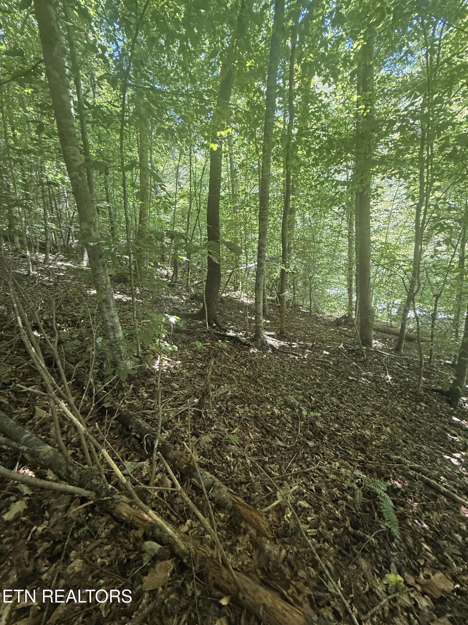 0 Suttons Road Sevierville TN 37876