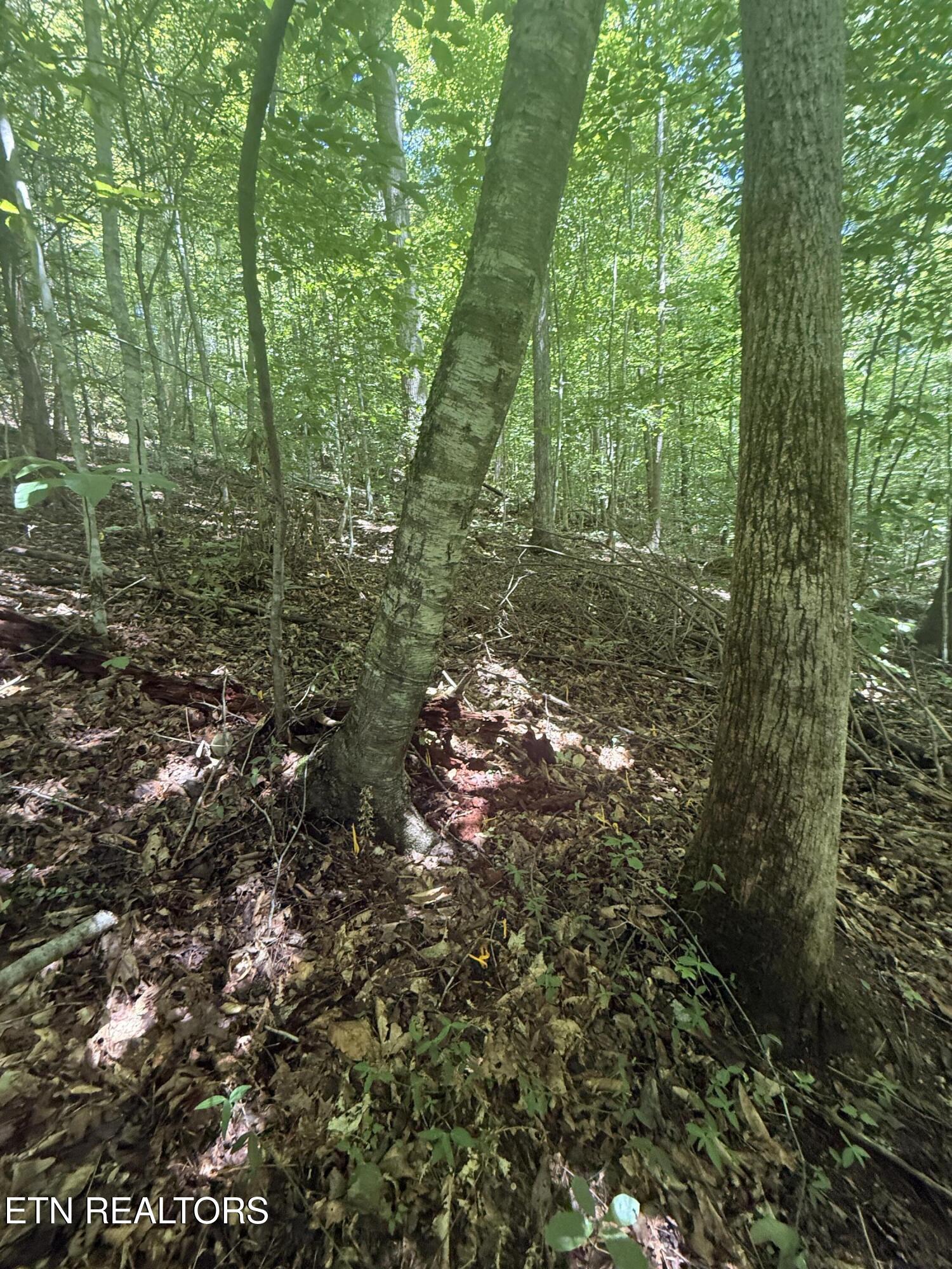 0 Suttons Road Sevierville TN 37876