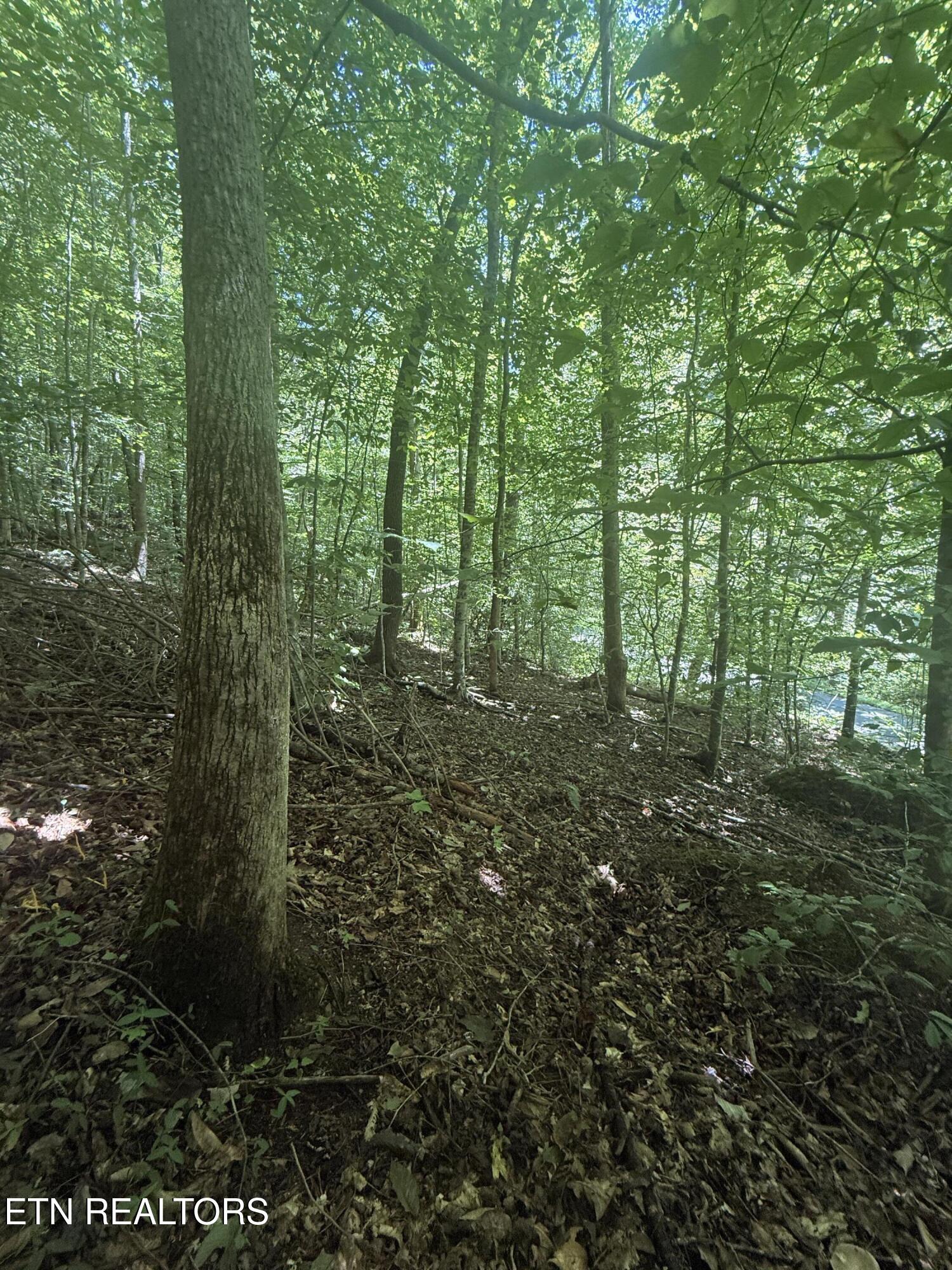 0 Suttons Road Sevierville TN 37876