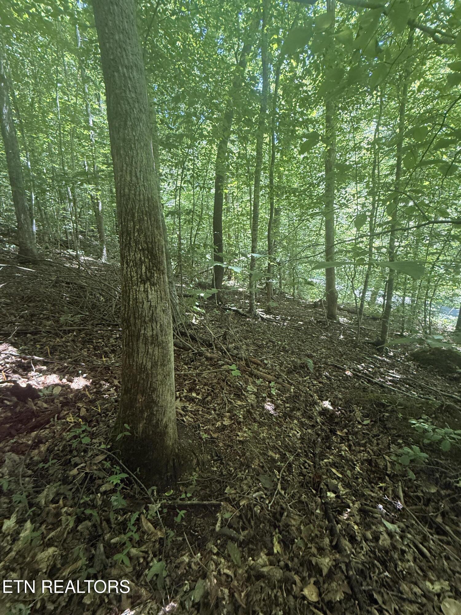0 Suttons Road Sevierville TN 37876