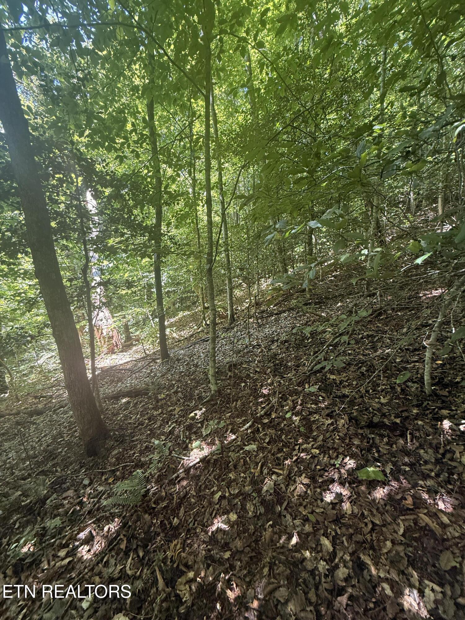 0 Suttons Road Sevierville TN 37876