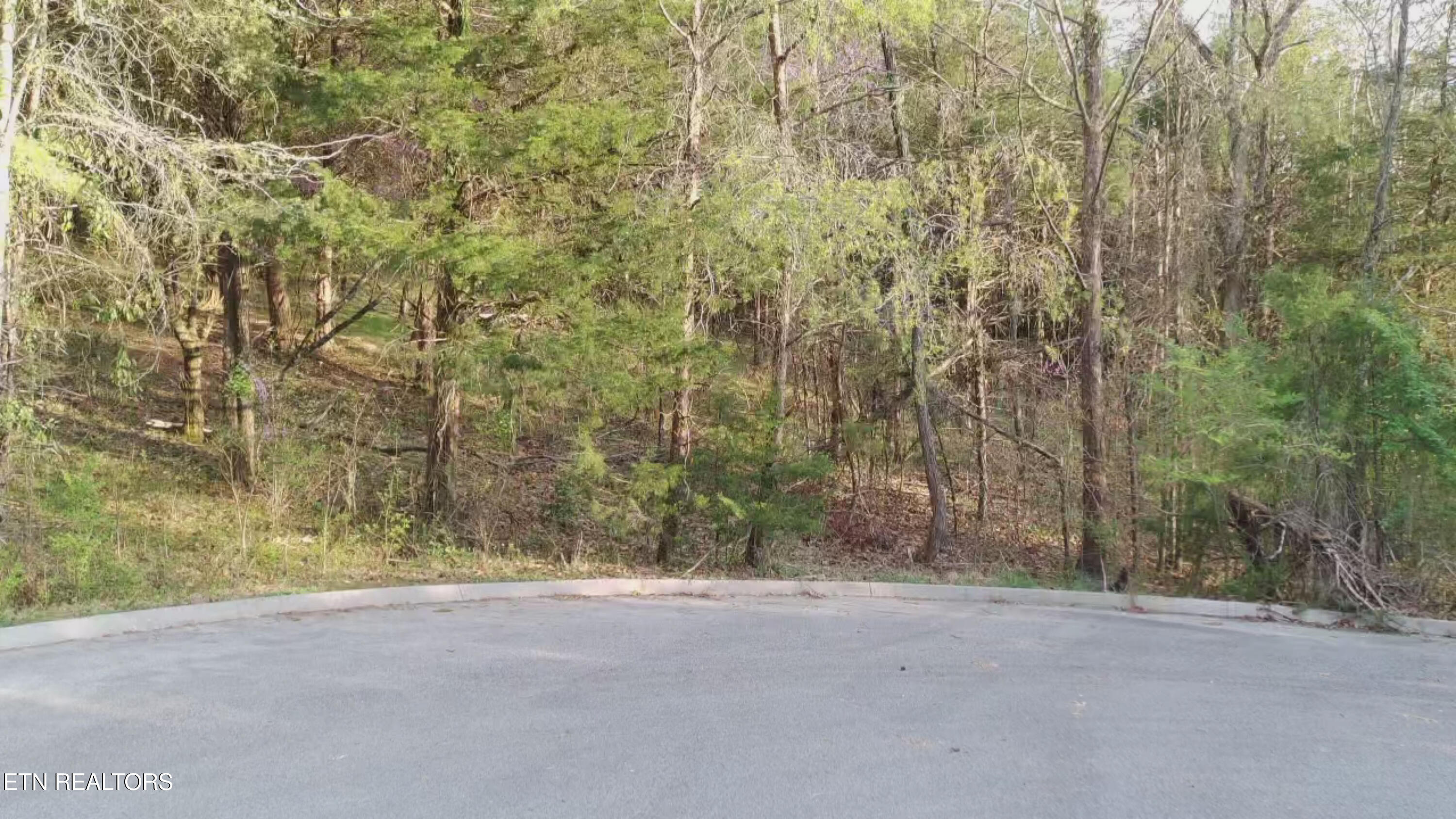 Wedge Way Tazewell TN 37879