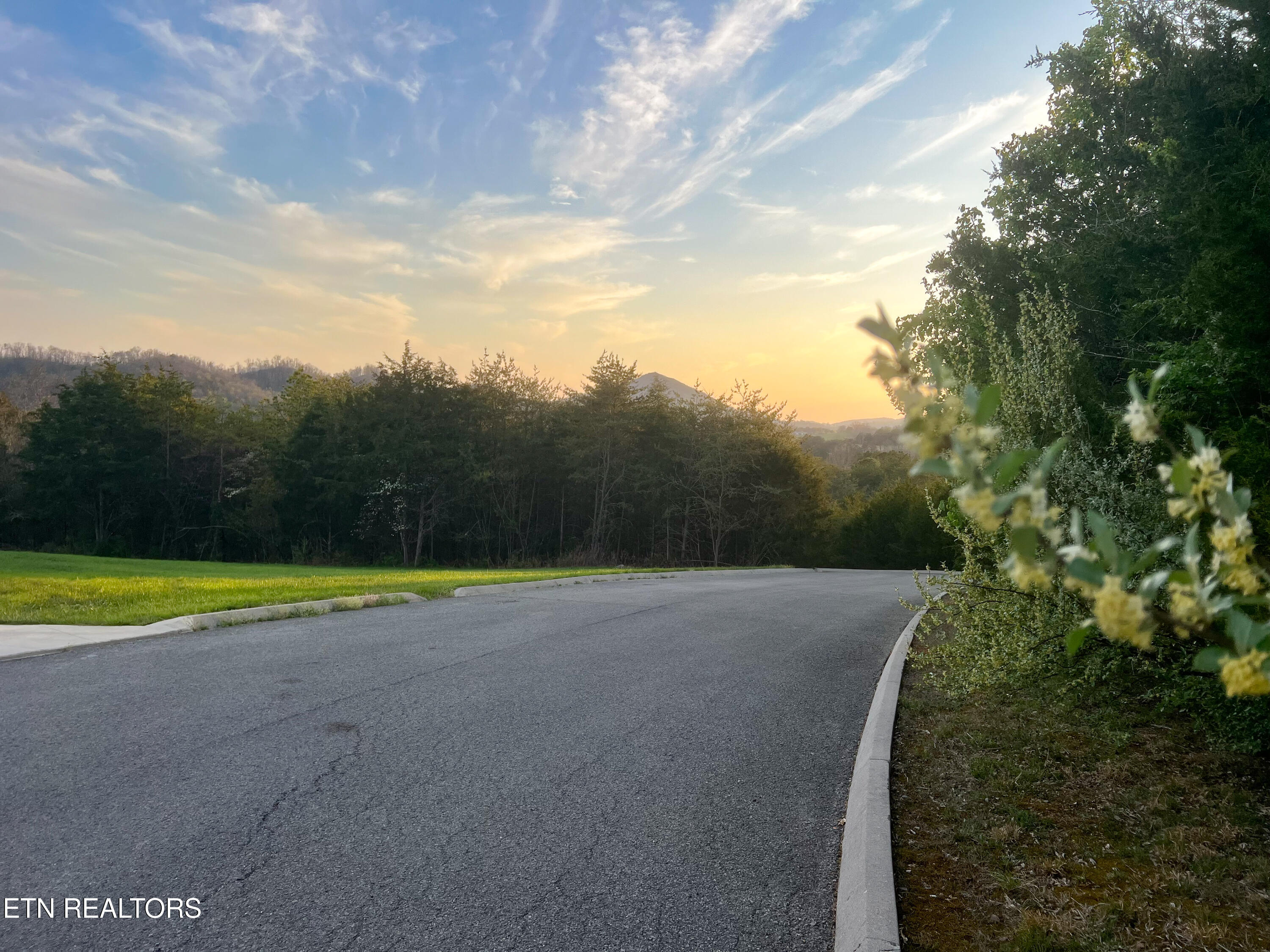 Wedge Way Tazewell TN 37879
