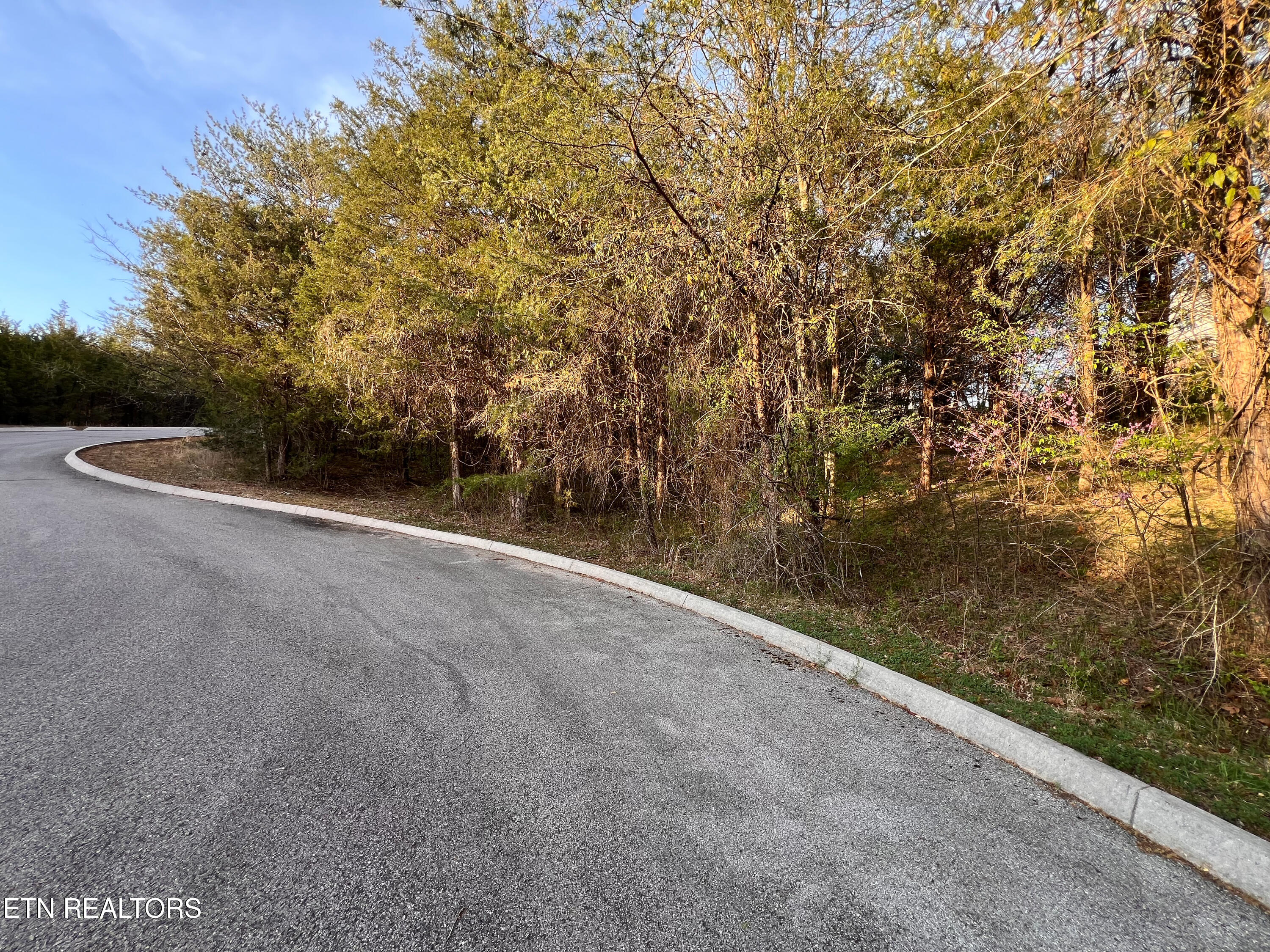 Wedge Way Tazewell TN 37879