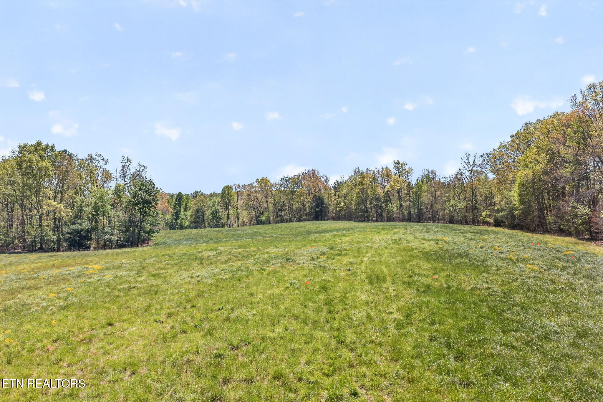 Lot 6 Smith Mountain Road Rockwood TN 37854