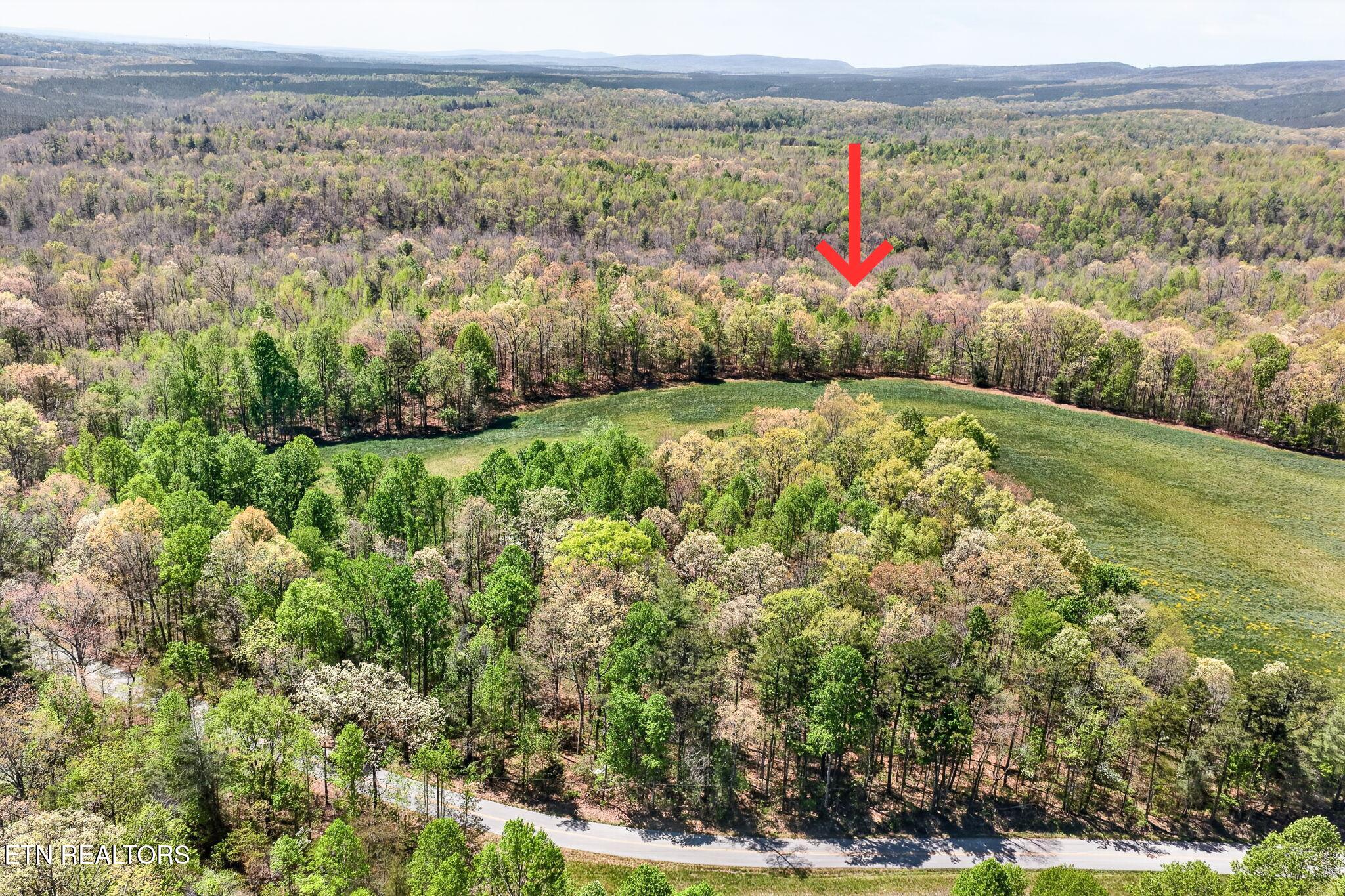 Lot 6 Smith Mountain Road Rockwood TN 37854