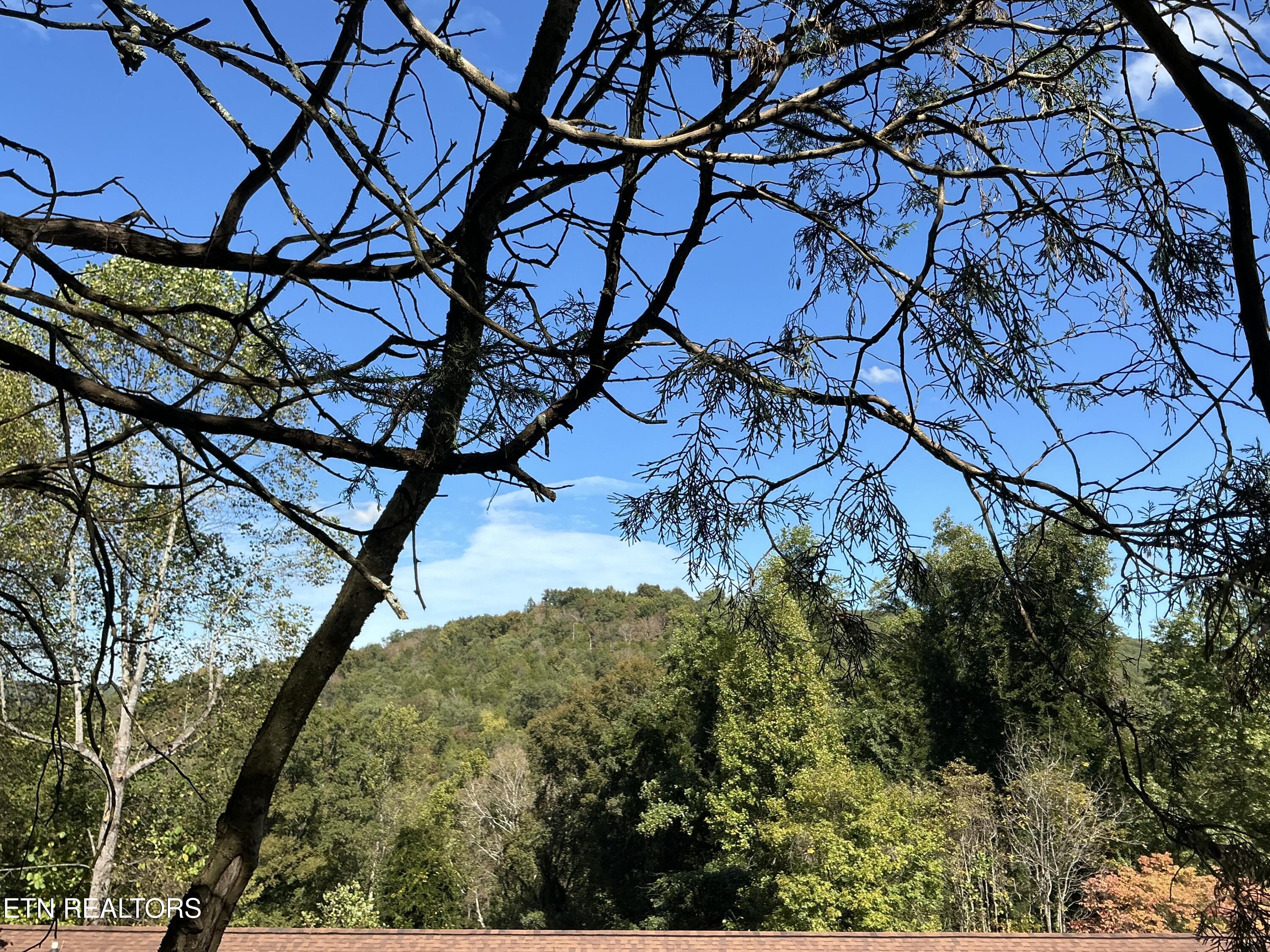 - - - - - Moore Lane Powell TN 37849