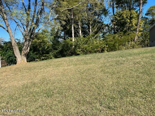 8011 Stone Hollow Drive Knoxville TN 37924