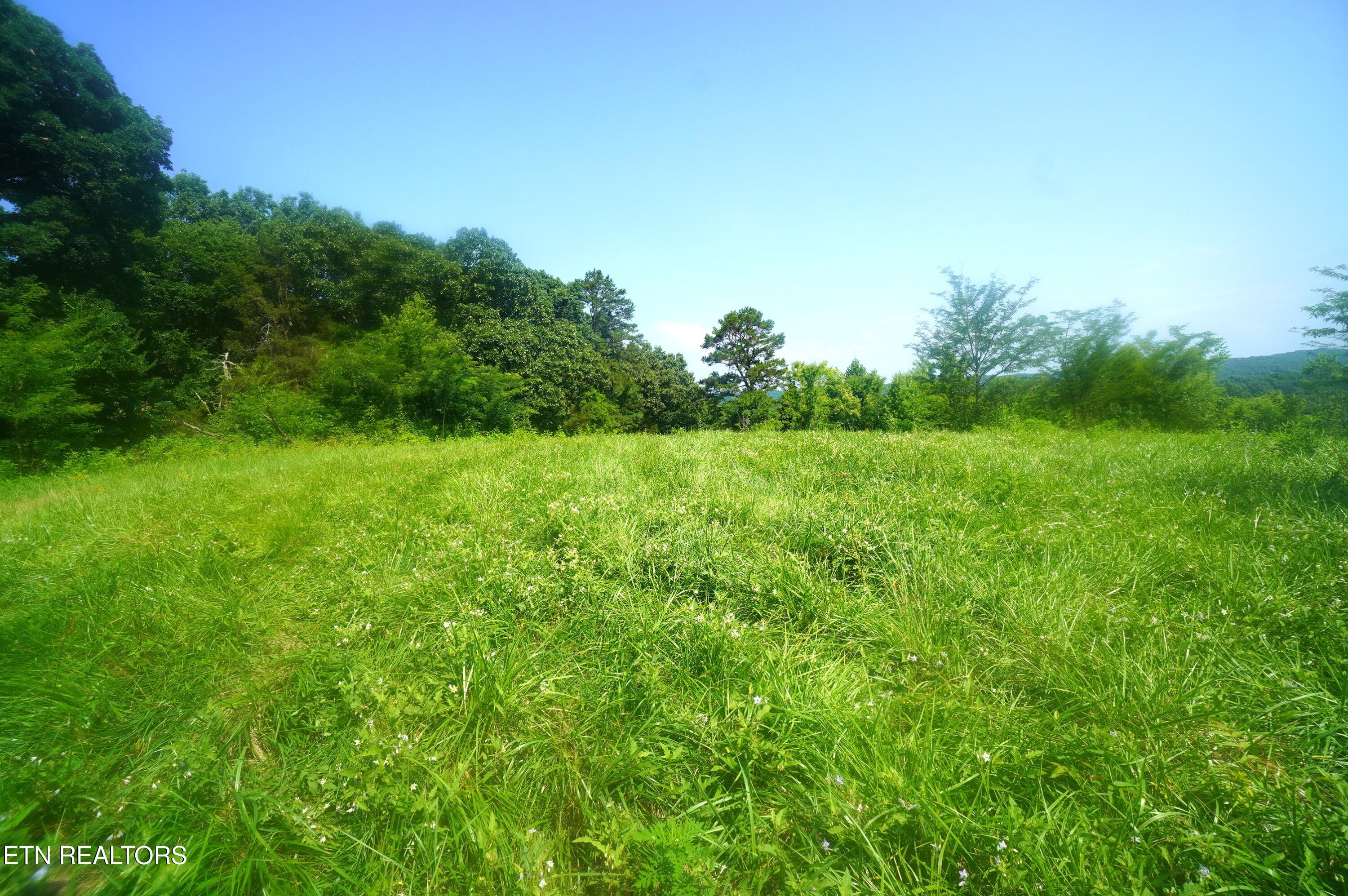 00 Old Greeneville Highway Parrottsville TN 37843