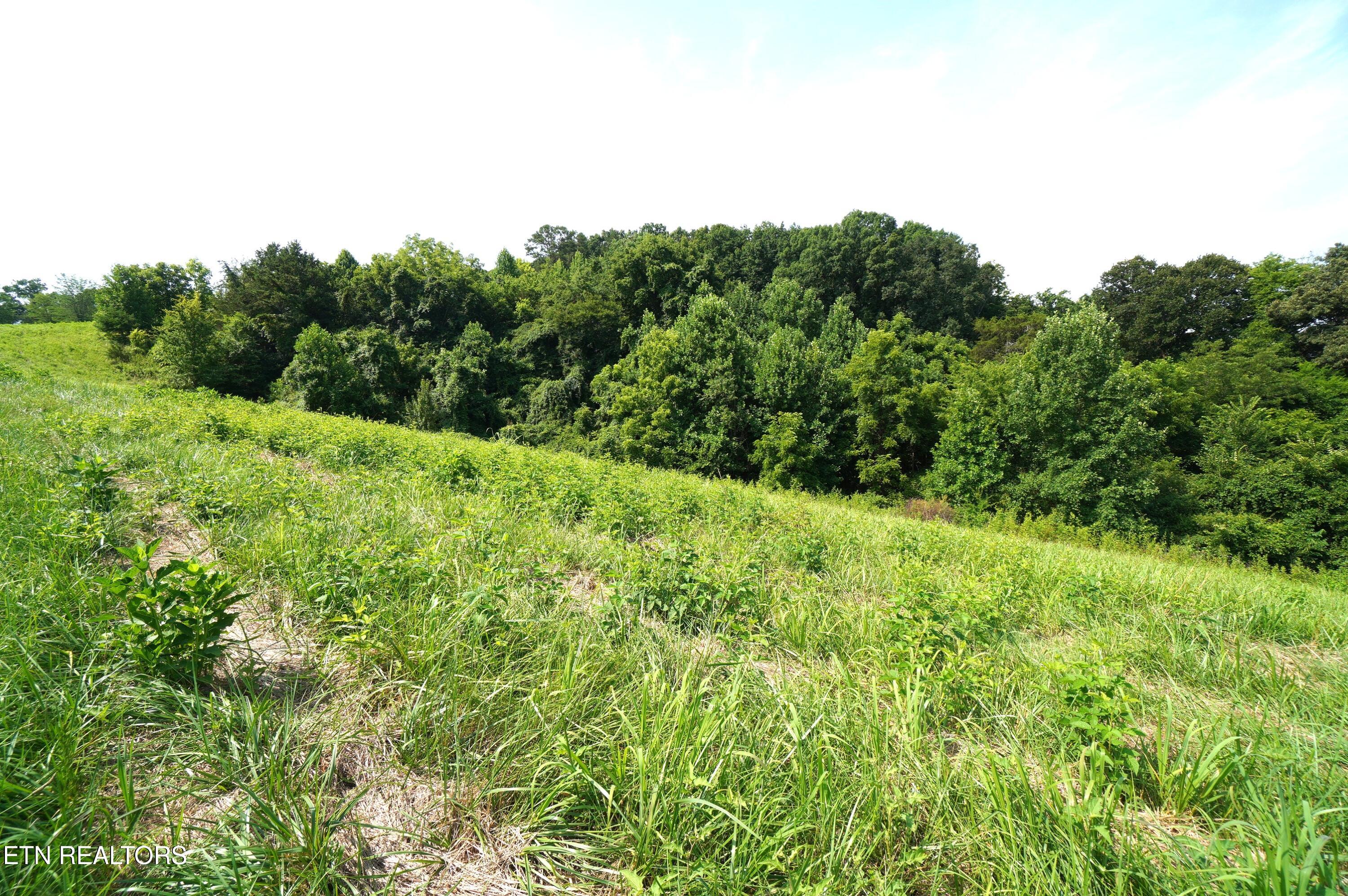 00 Old Greeneville Highway Parrottsville TN 37843