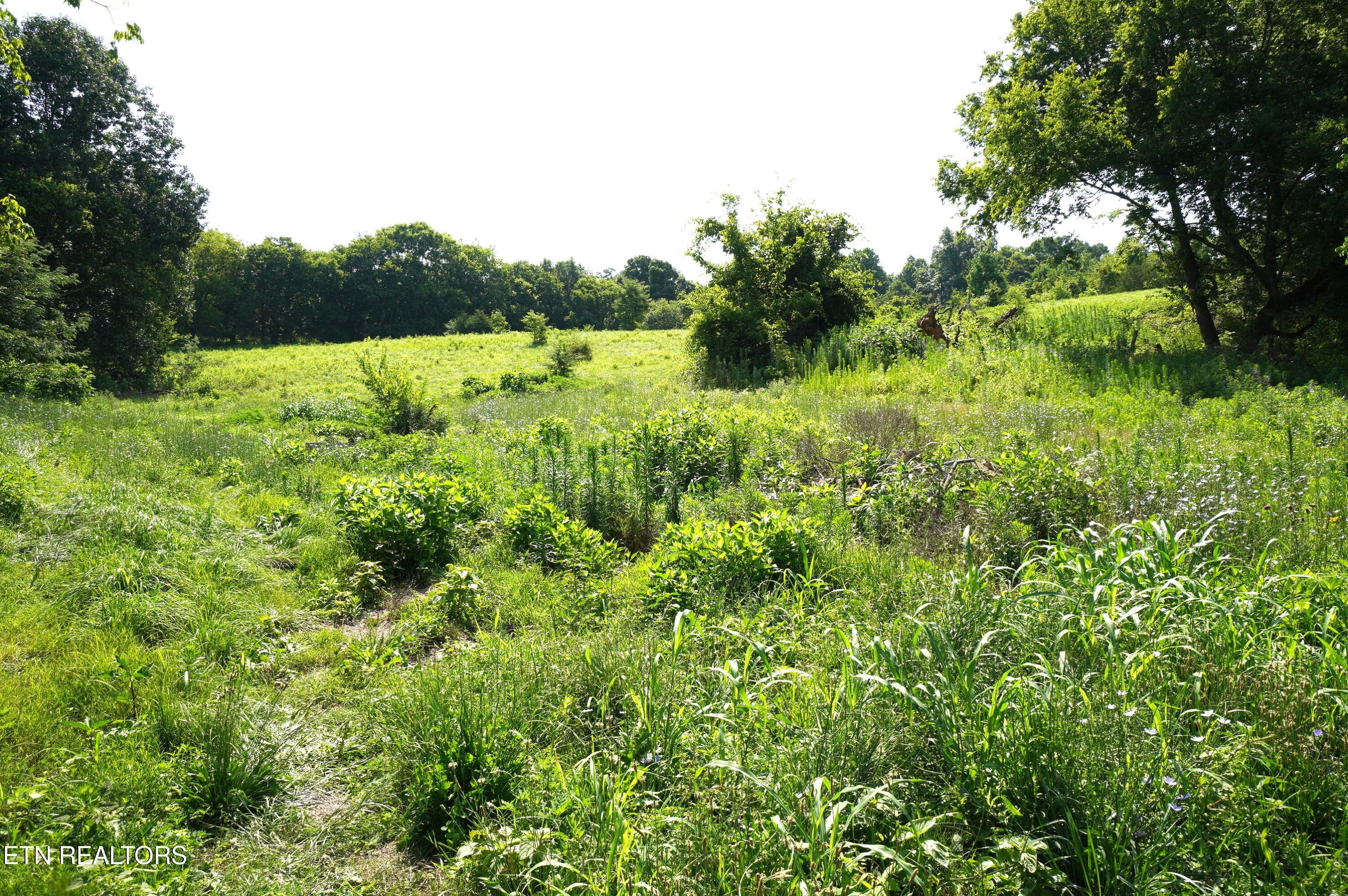 00 Old Greeneville Highway Parrottsville TN 37843