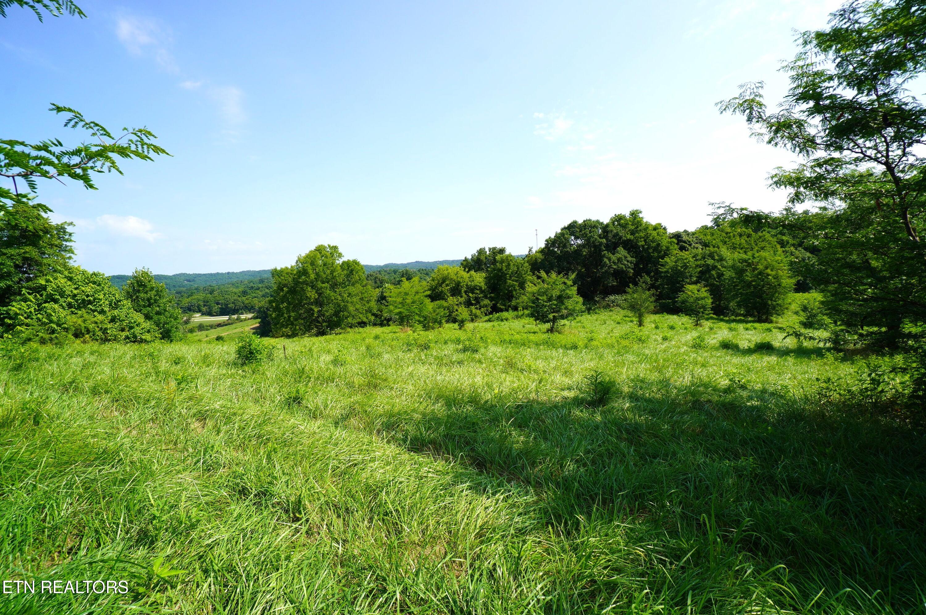 00 Old Greeneville Highway Parrottsville TN 37843