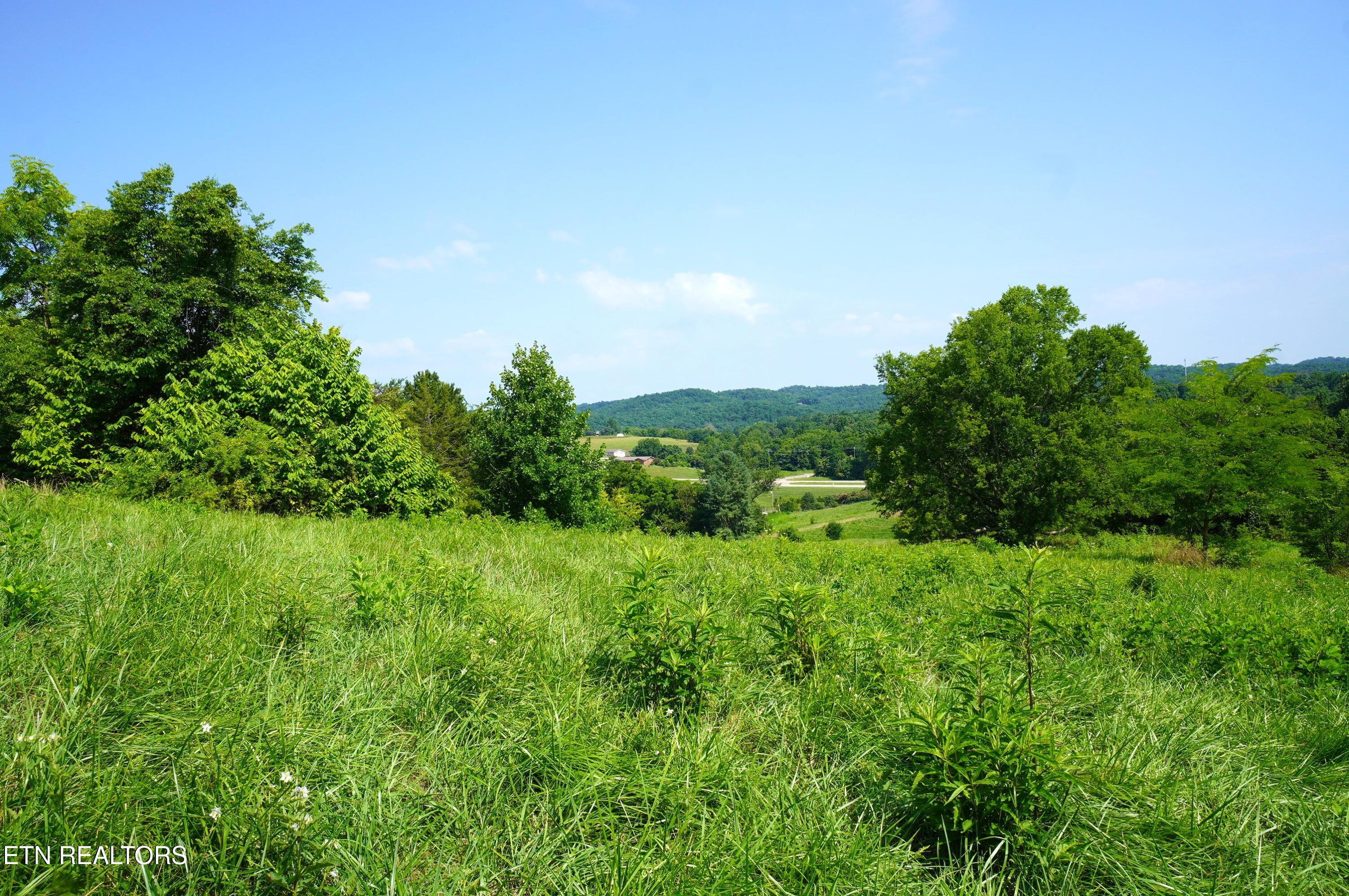 00 Old Greeneville Highway Parrottsville TN 37843