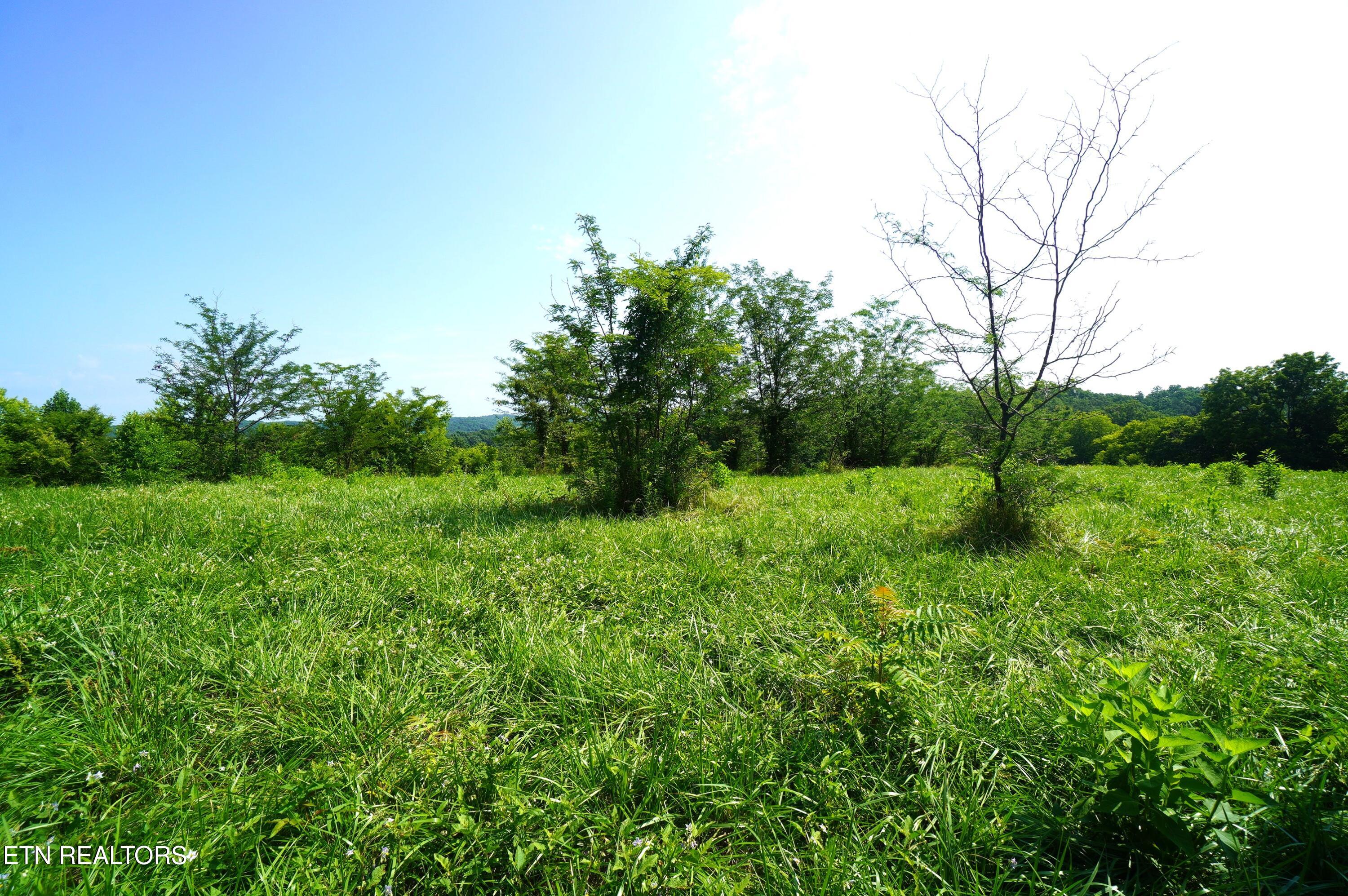 00 Old Greeneville Highway Parrottsville TN 37843