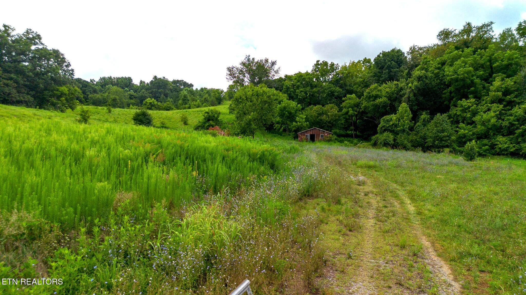 00 Old Greeneville Highway Parrottsville TN 37843