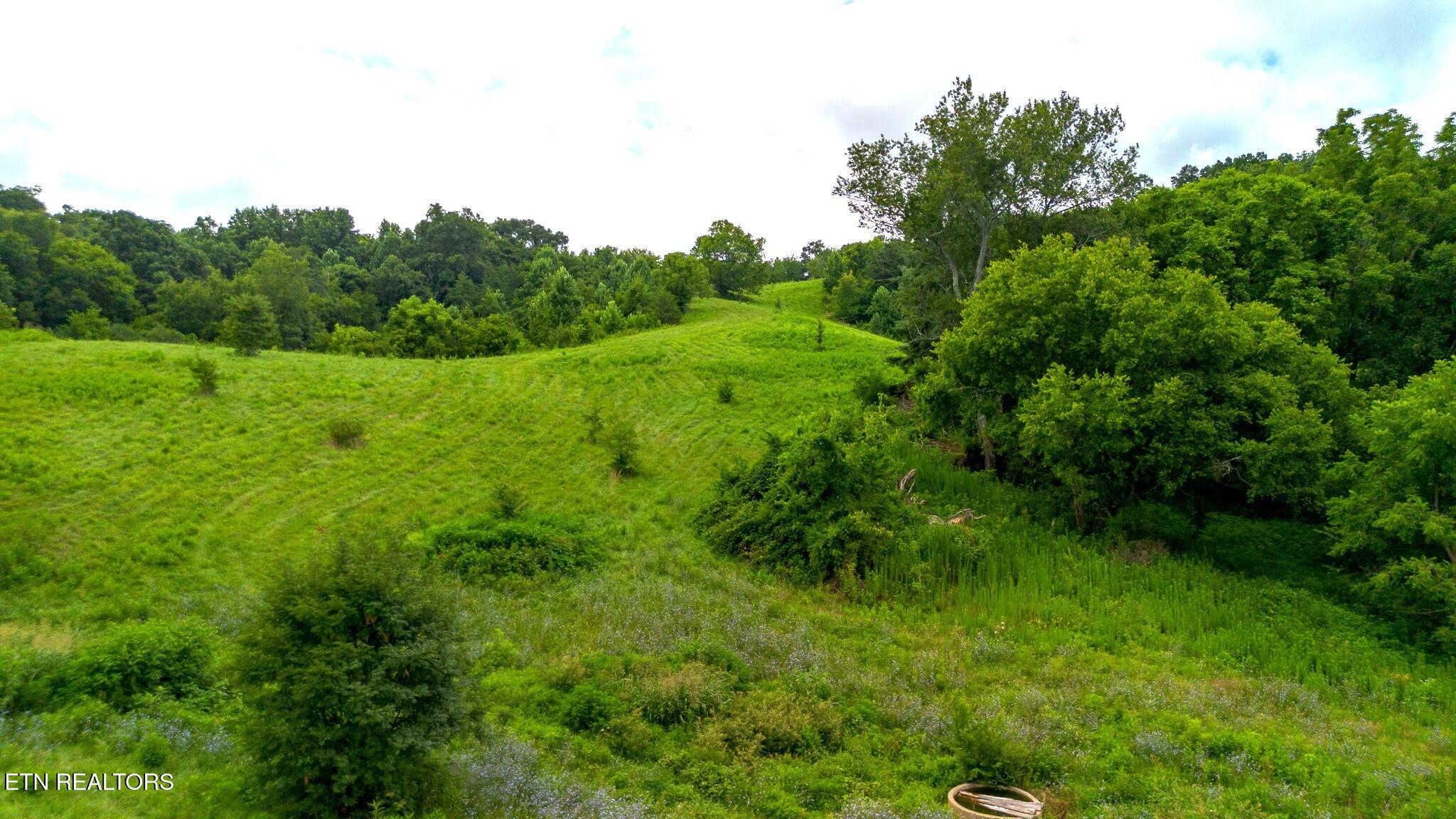 00 Old Greeneville Highway Parrottsville TN 37843