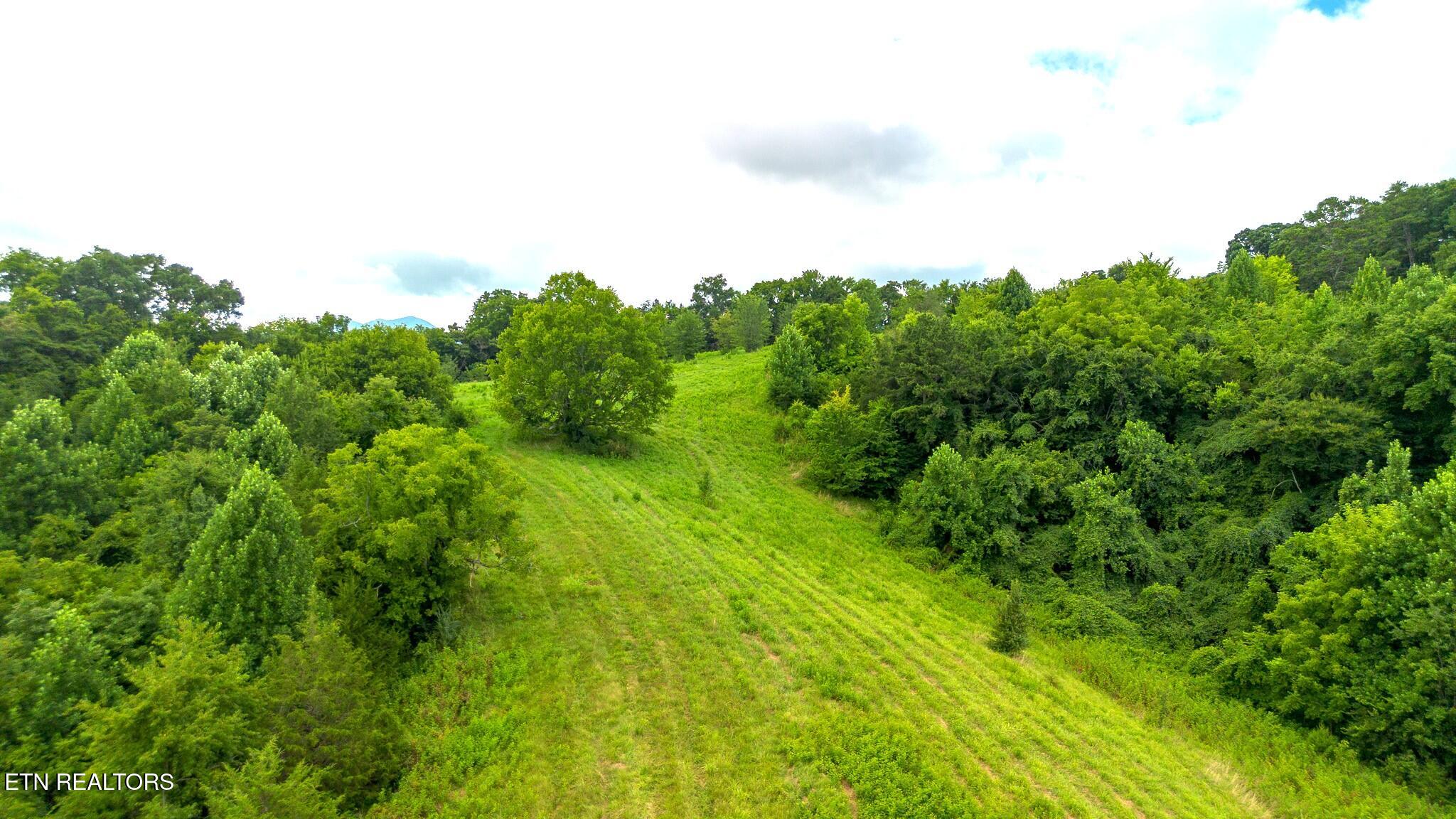 00 Old Greeneville Highway Parrottsville TN 37843