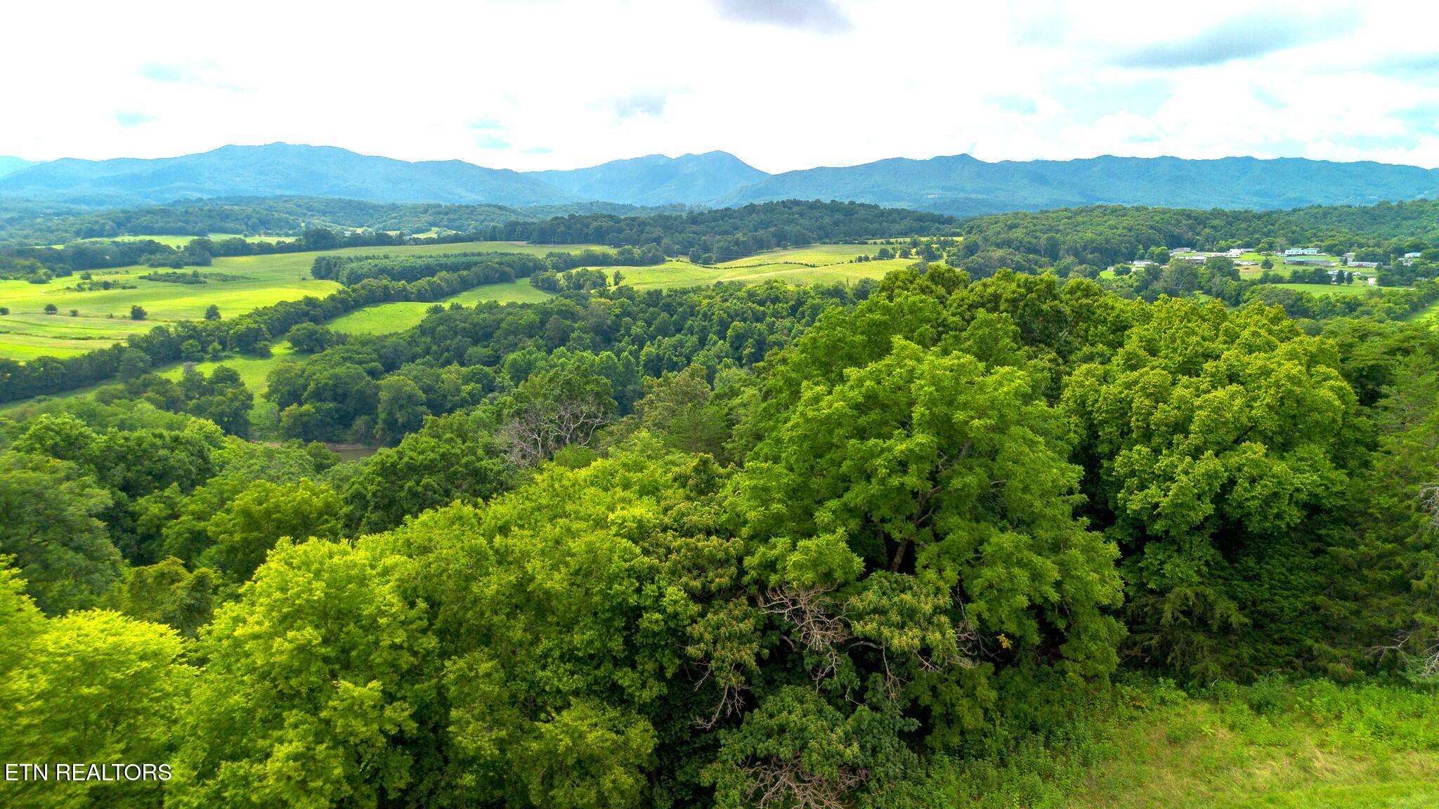 00 Old Greeneville Highway Parrottsville TN 37843