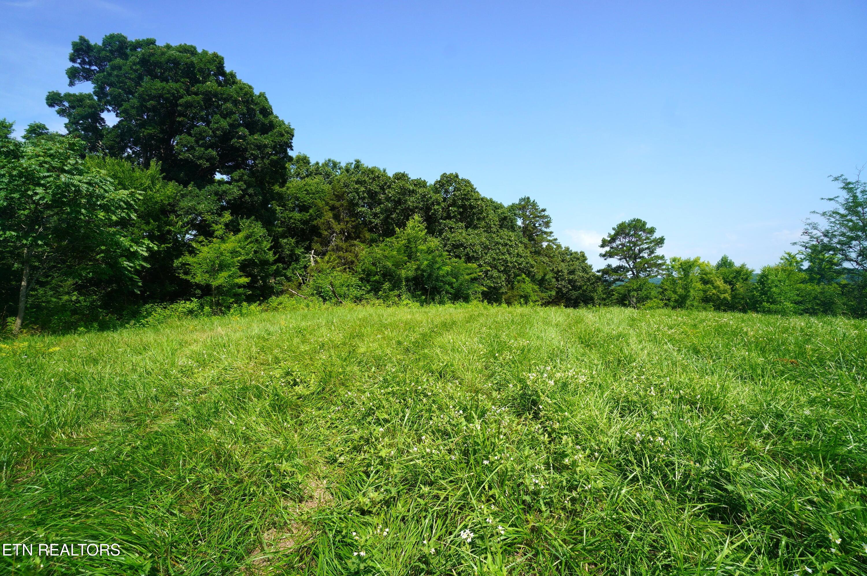 00 Old Greeneville Highway Parrottsville TN 37843