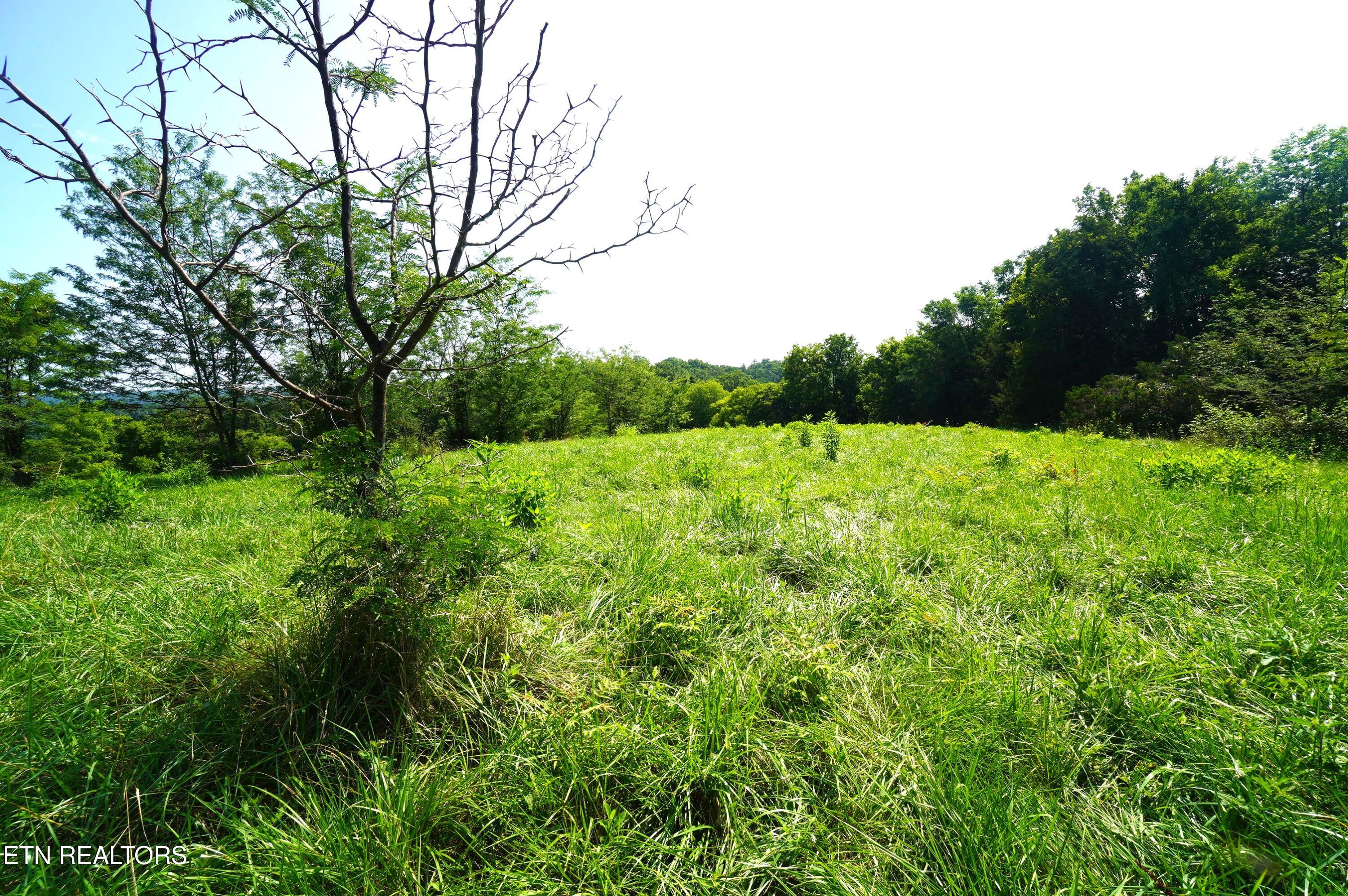 00 Old Greeneville Highway Parrottsville TN 37843
