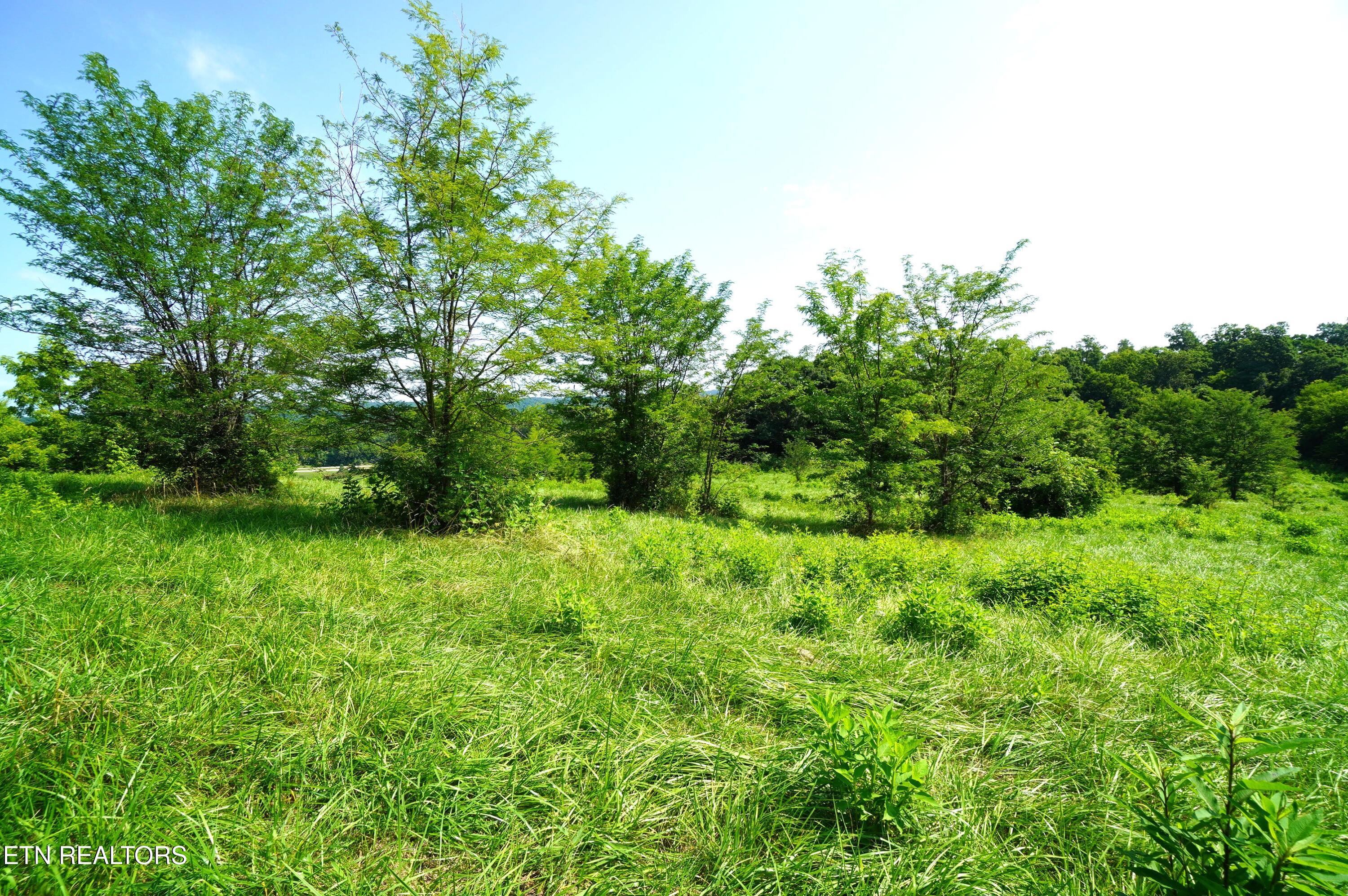 00 Old Greeneville Highway Parrottsville TN 37843