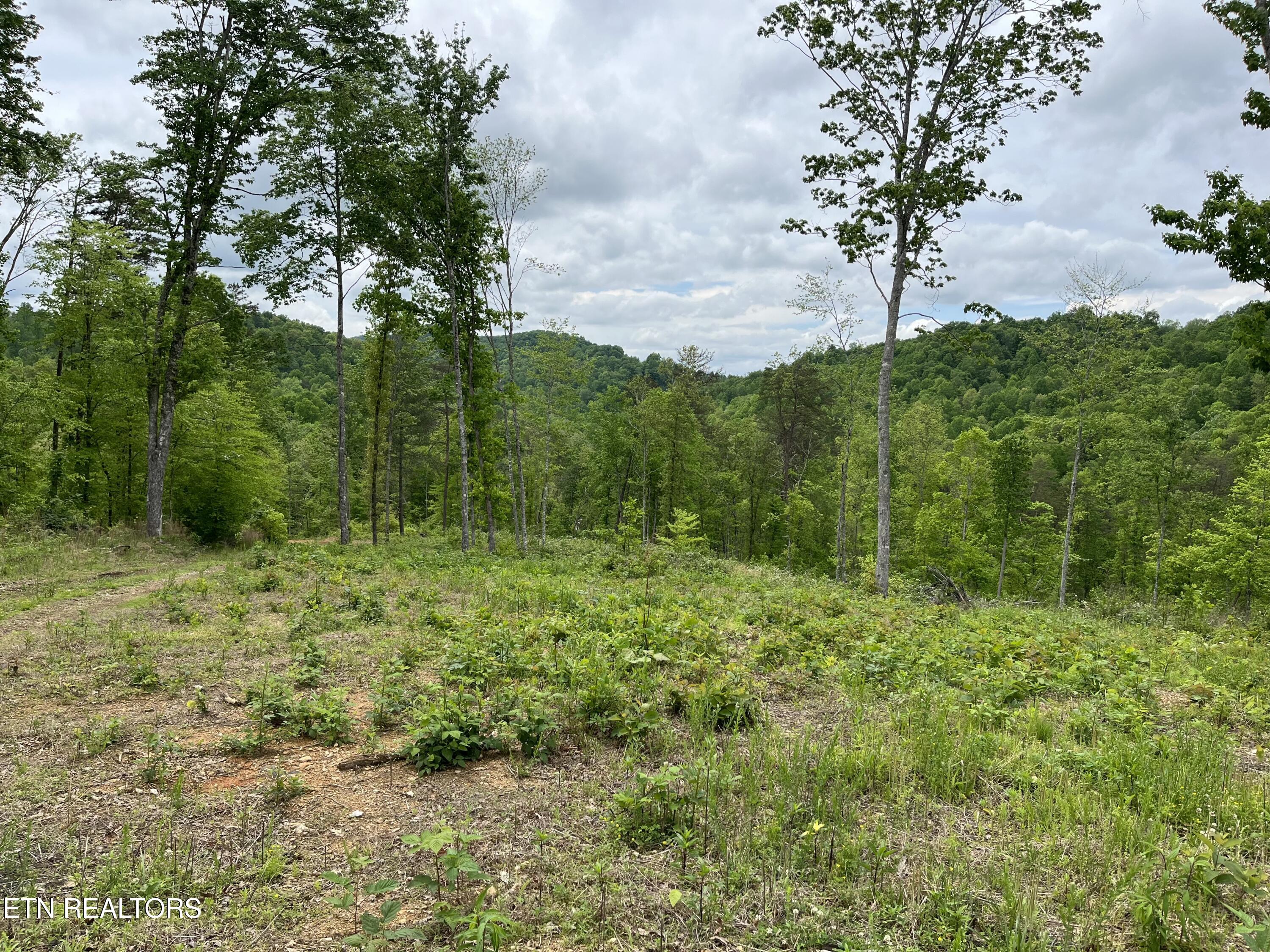 123 Ingle Lane Tazewell TN 37879