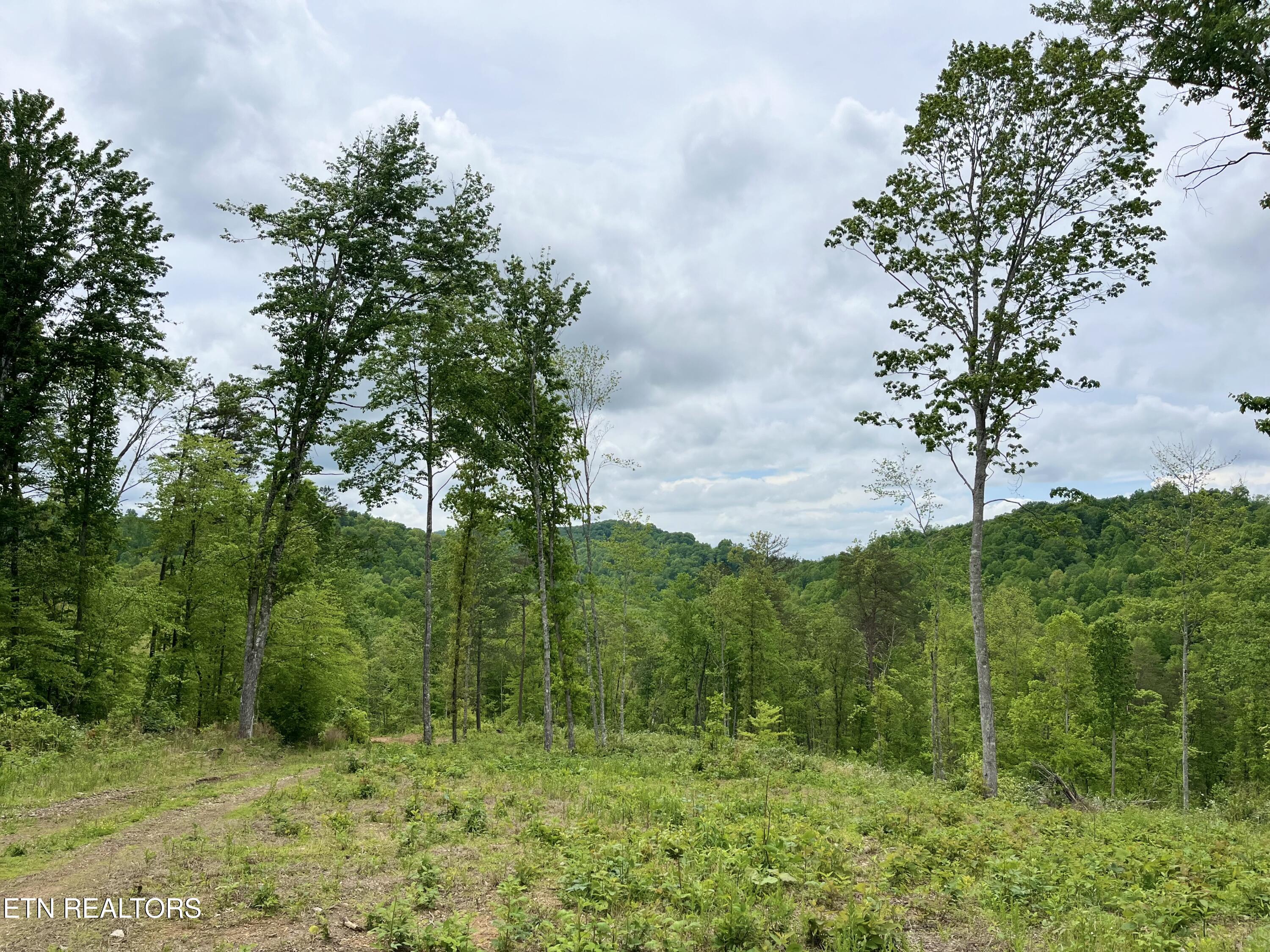 123 Ingle Lane Tazewell TN 37879