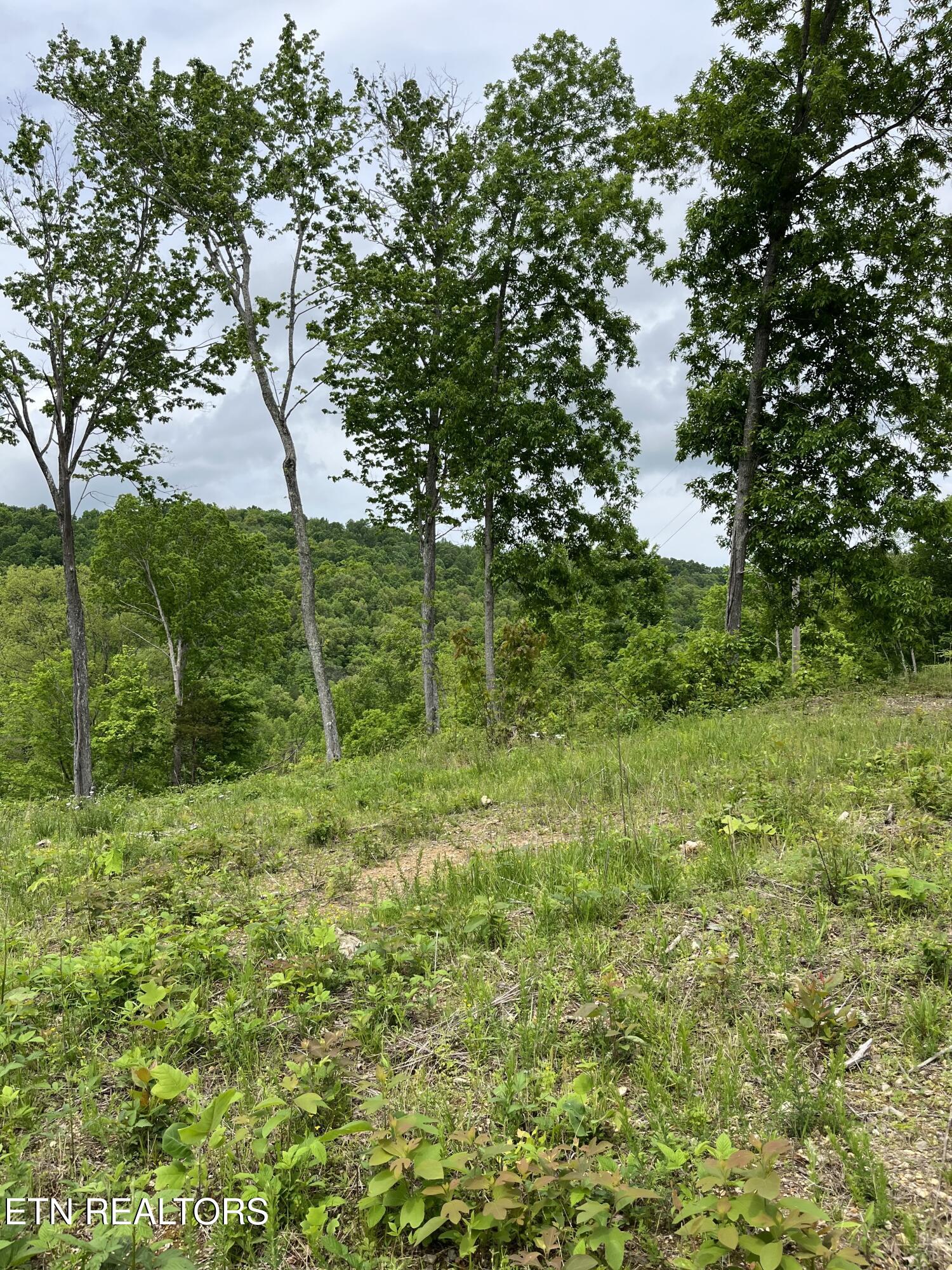 123 Ingle Lane Tazewell TN 37879
