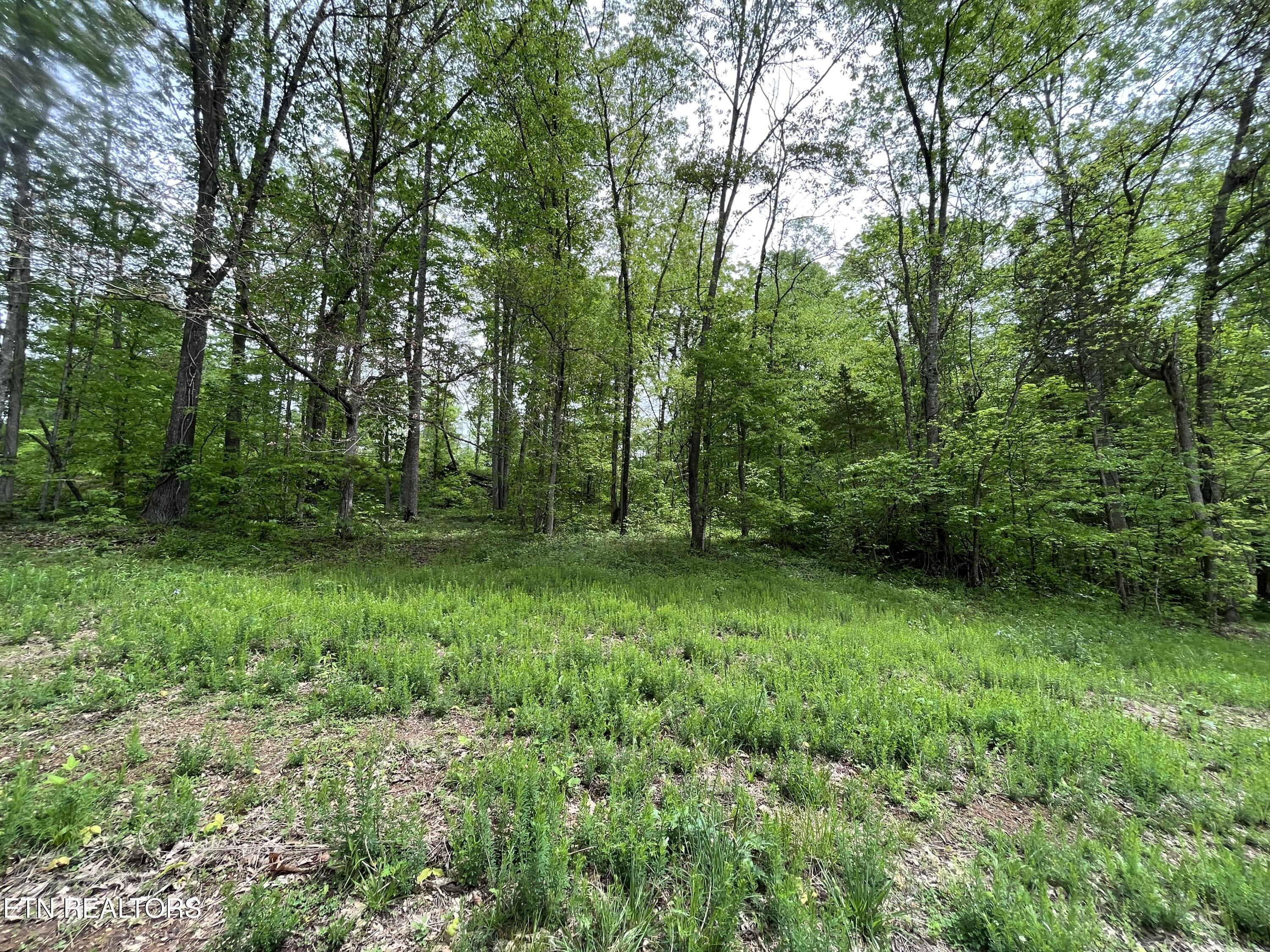 123 Ingle Lane Tazewell TN 37879