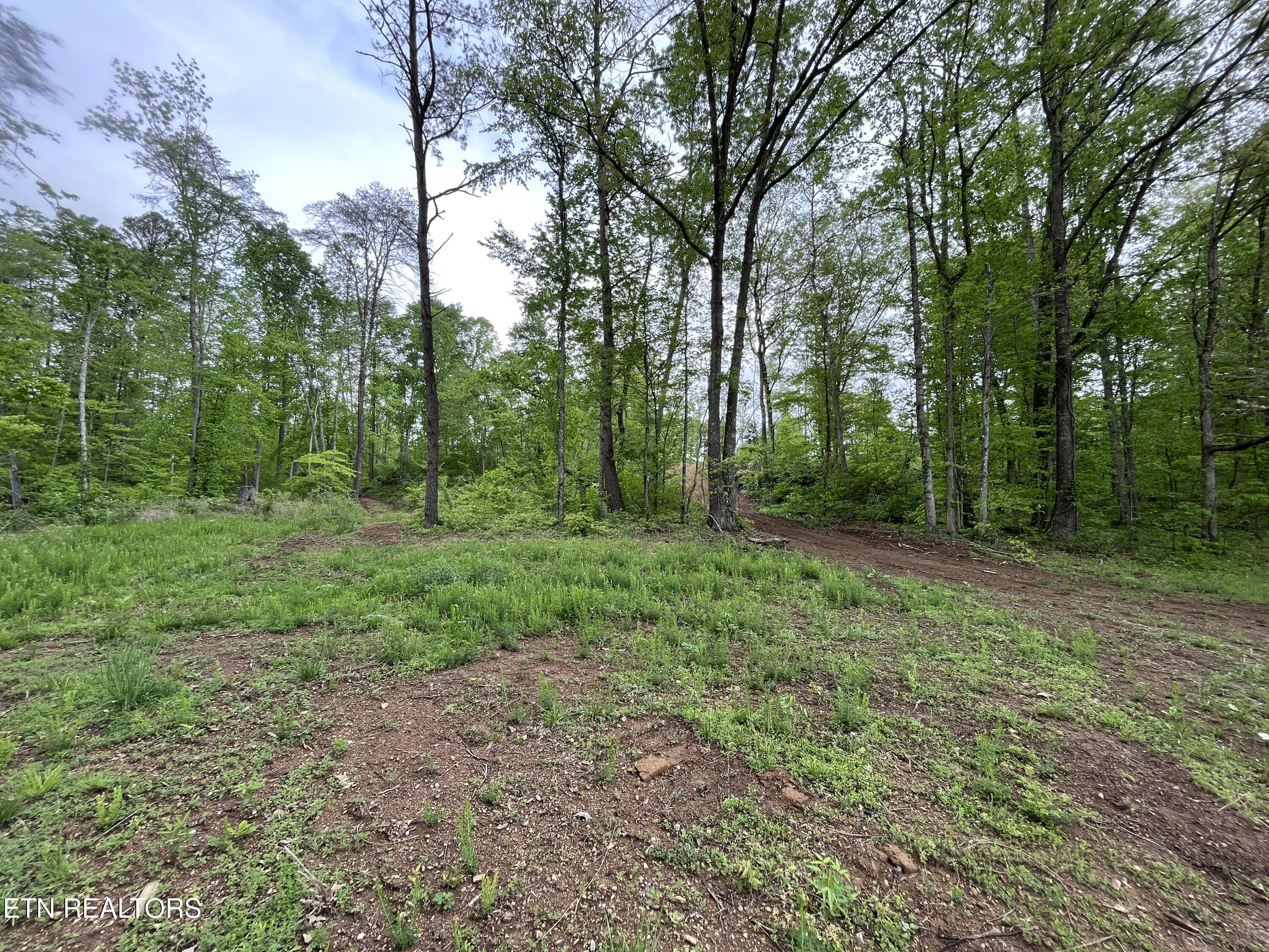 123 Ingle Lane Tazewell TN 37879
