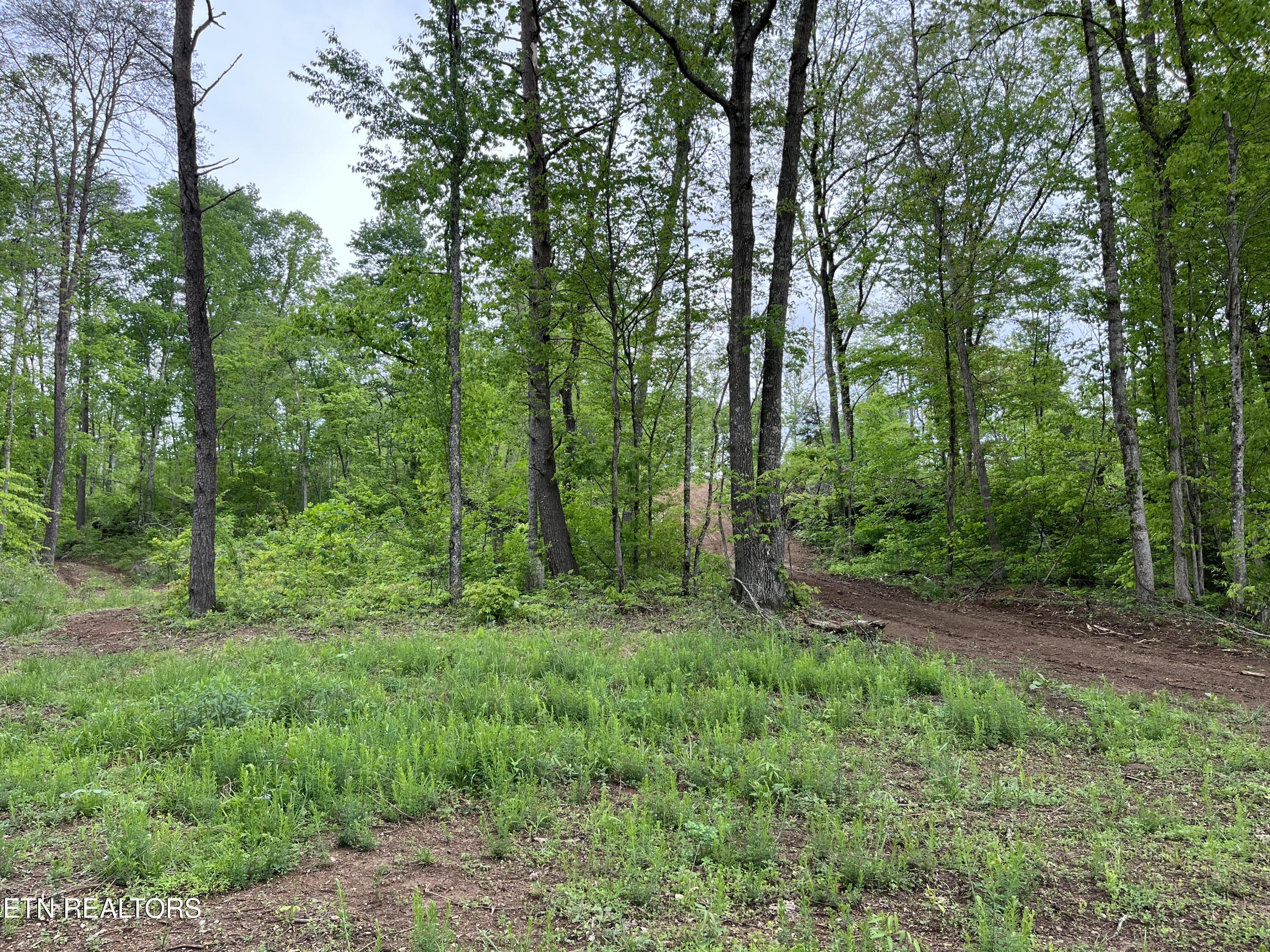 123 Ingle Lane Tazewell TN 37879