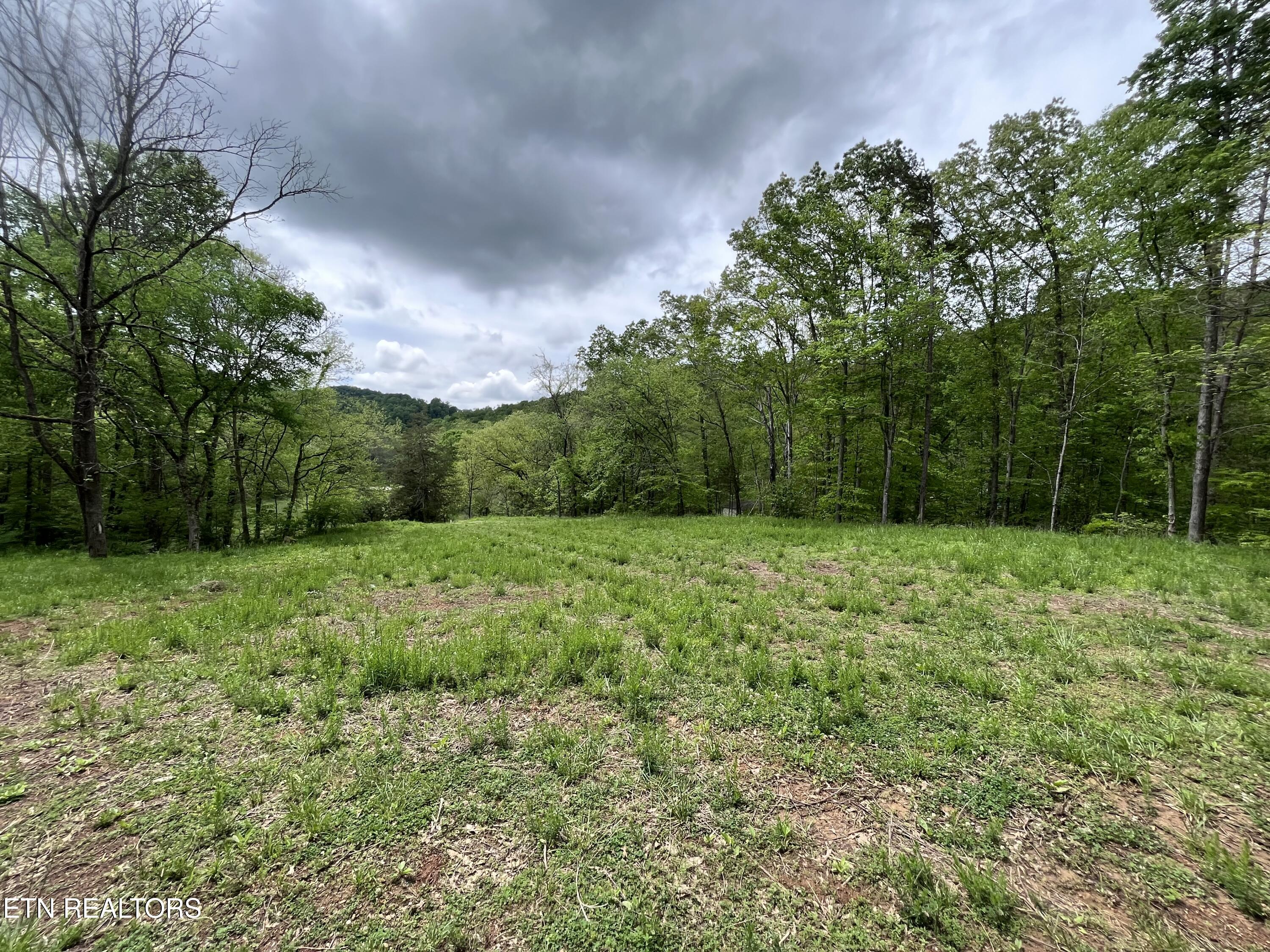123 Ingle Lane Tazewell TN 37879