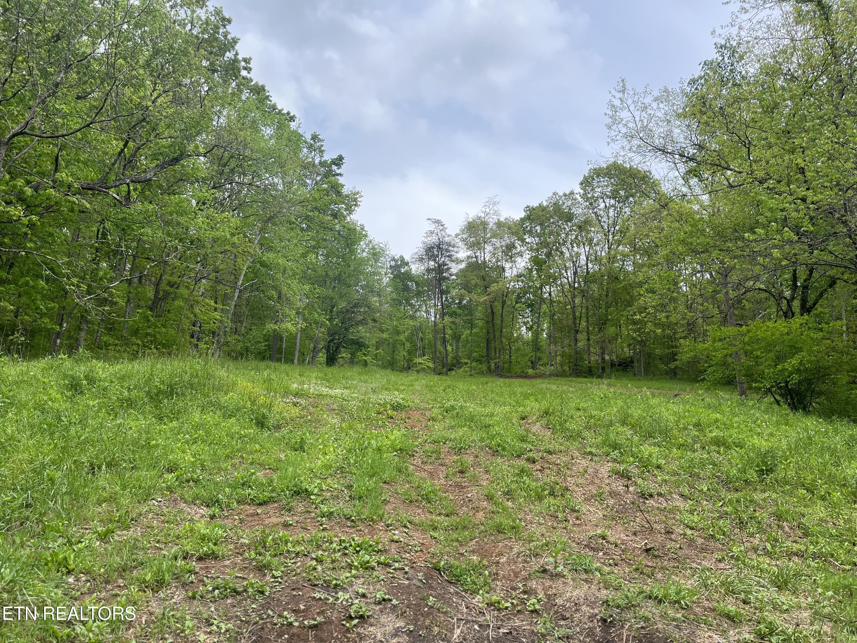 123 Ingle Lane Tazewell TN 37879