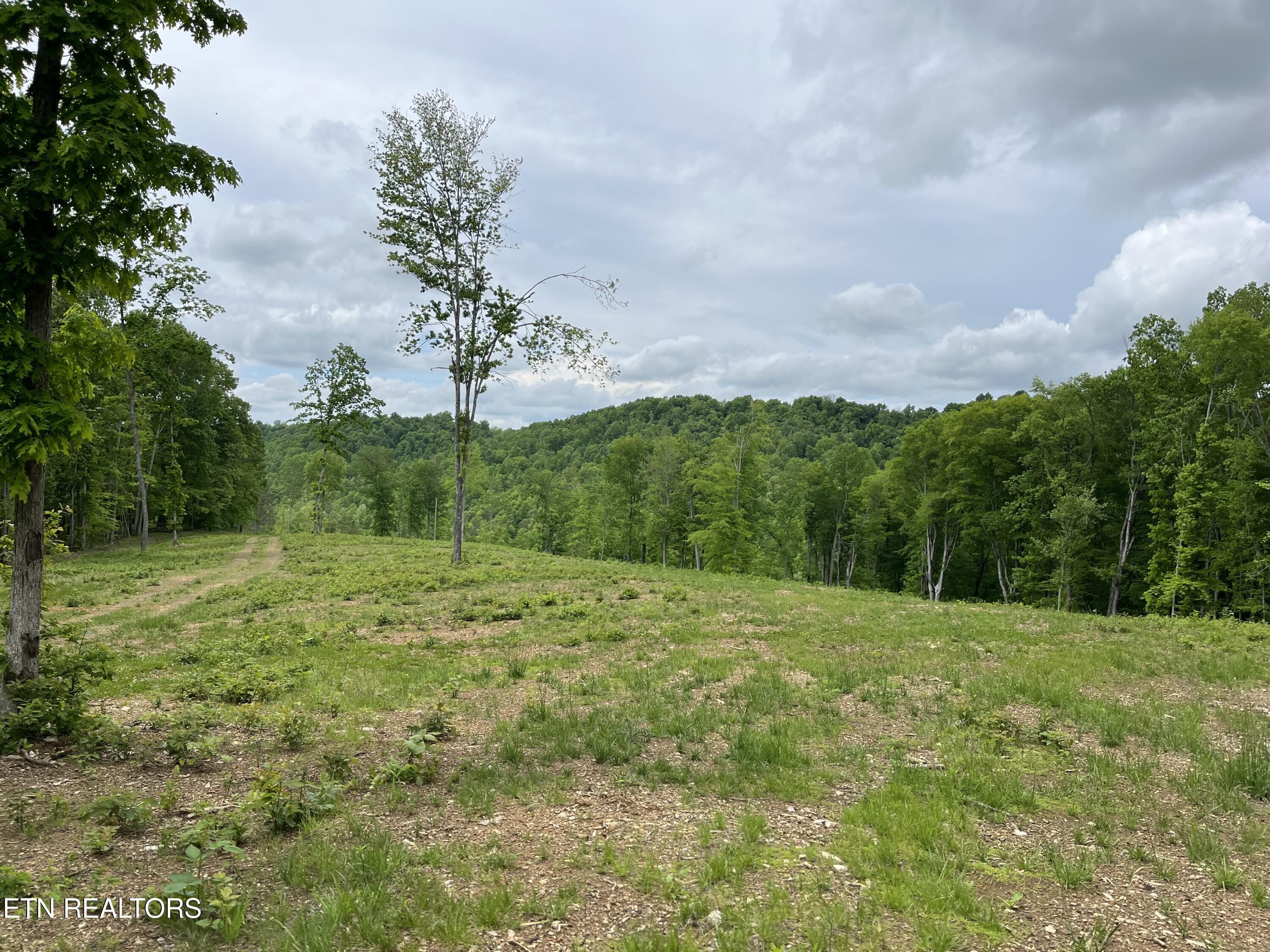 123 Ingle Lane Tazewell TN 37879