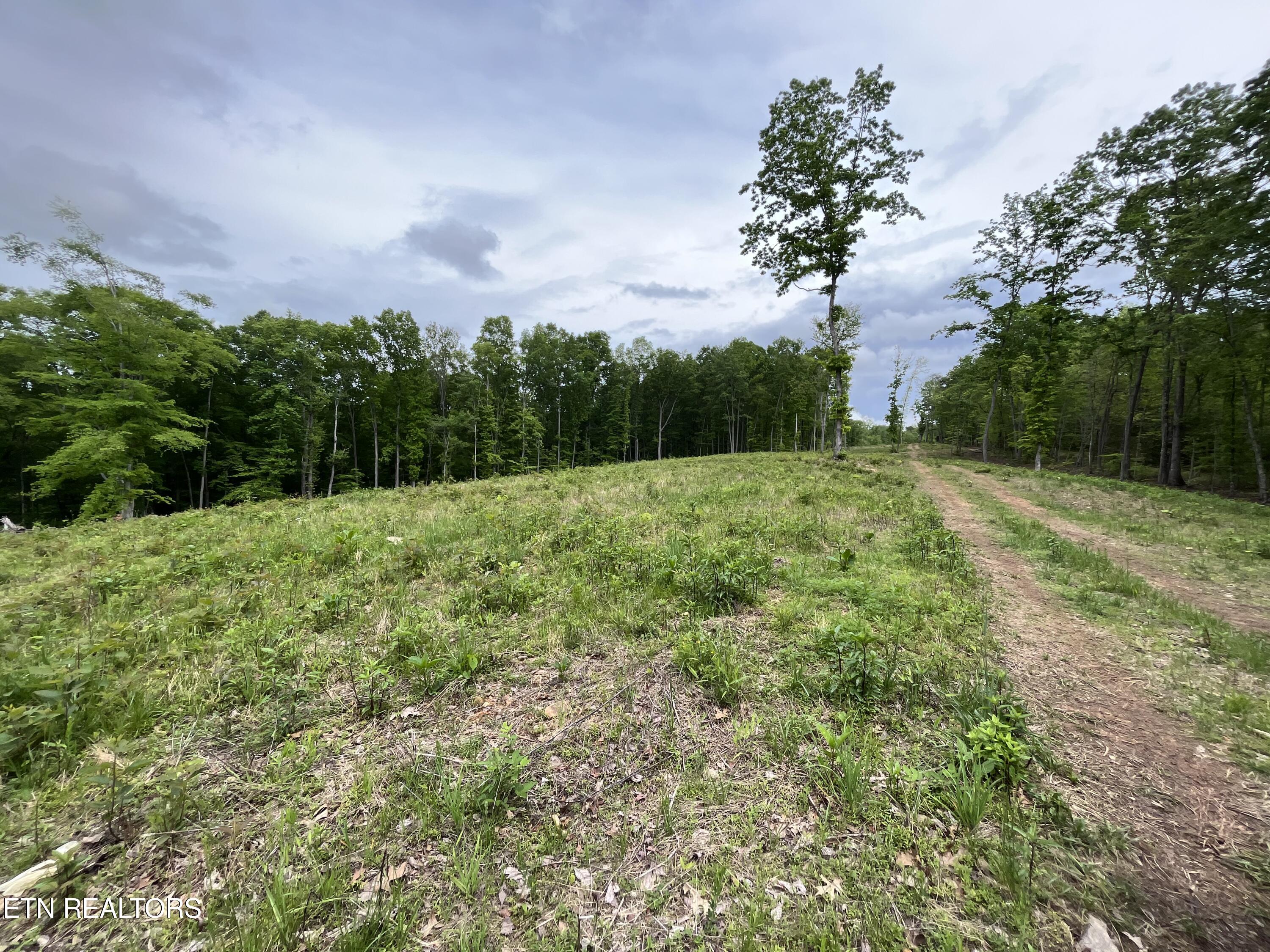 123 Ingle Lane Tazewell TN 37879