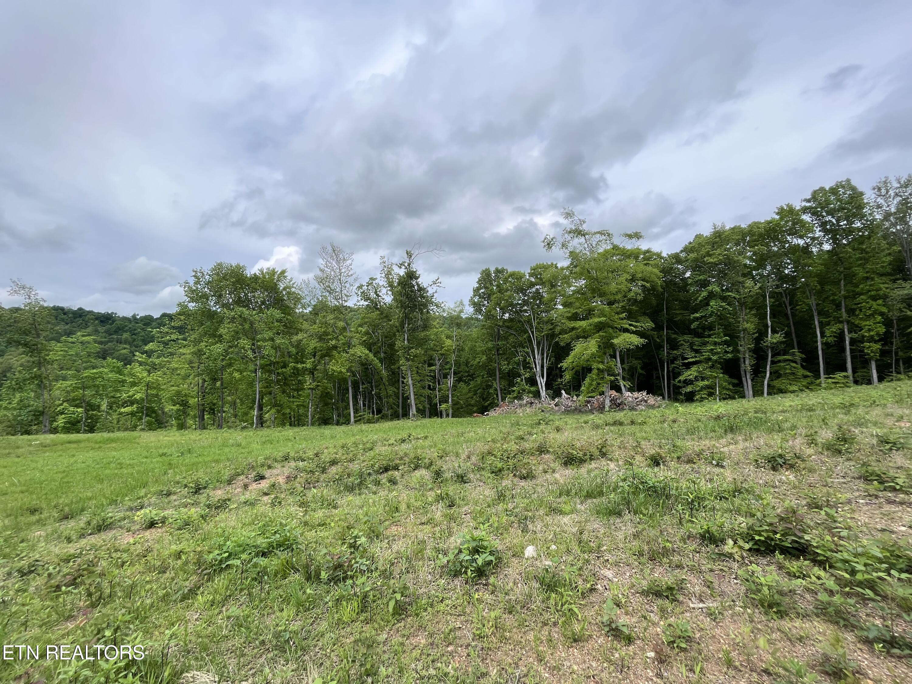123 Ingle Lane Tazewell TN 37879