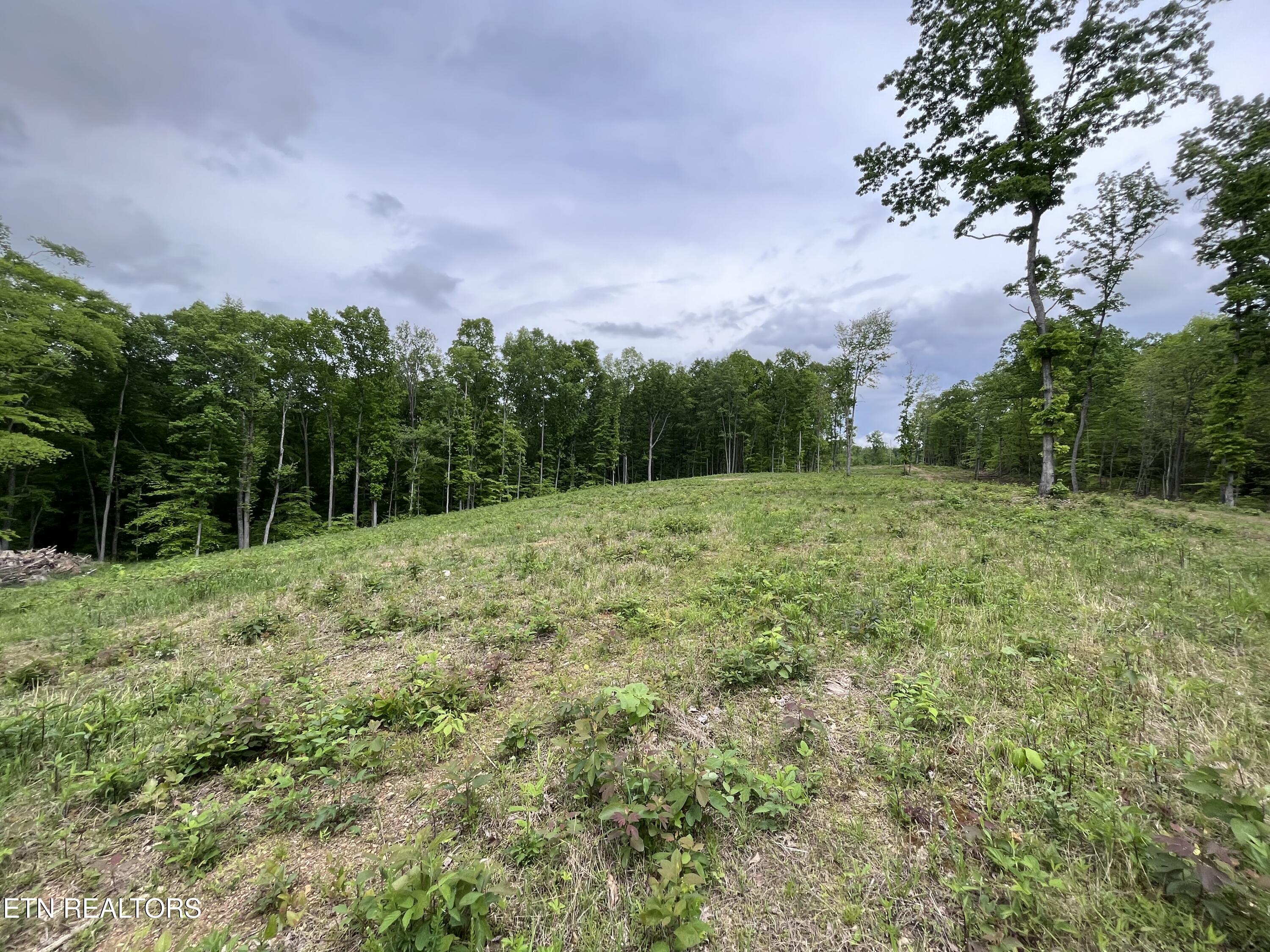 123 Ingle Lane Tazewell TN 37879